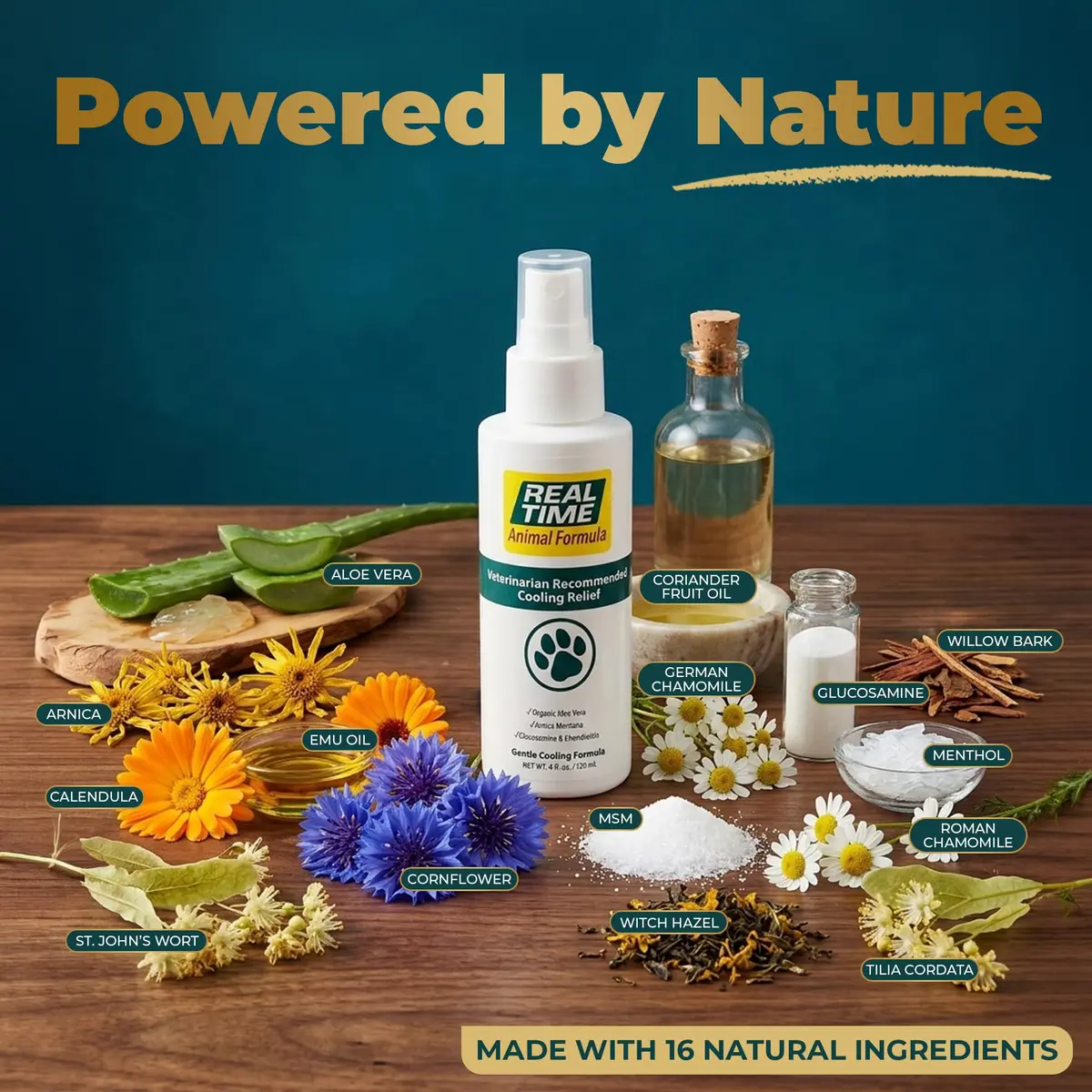 Real Time Pain Relief Pet Formula - 4oz Spray Bottle | Vet Recommended Relief for Pets - view 2