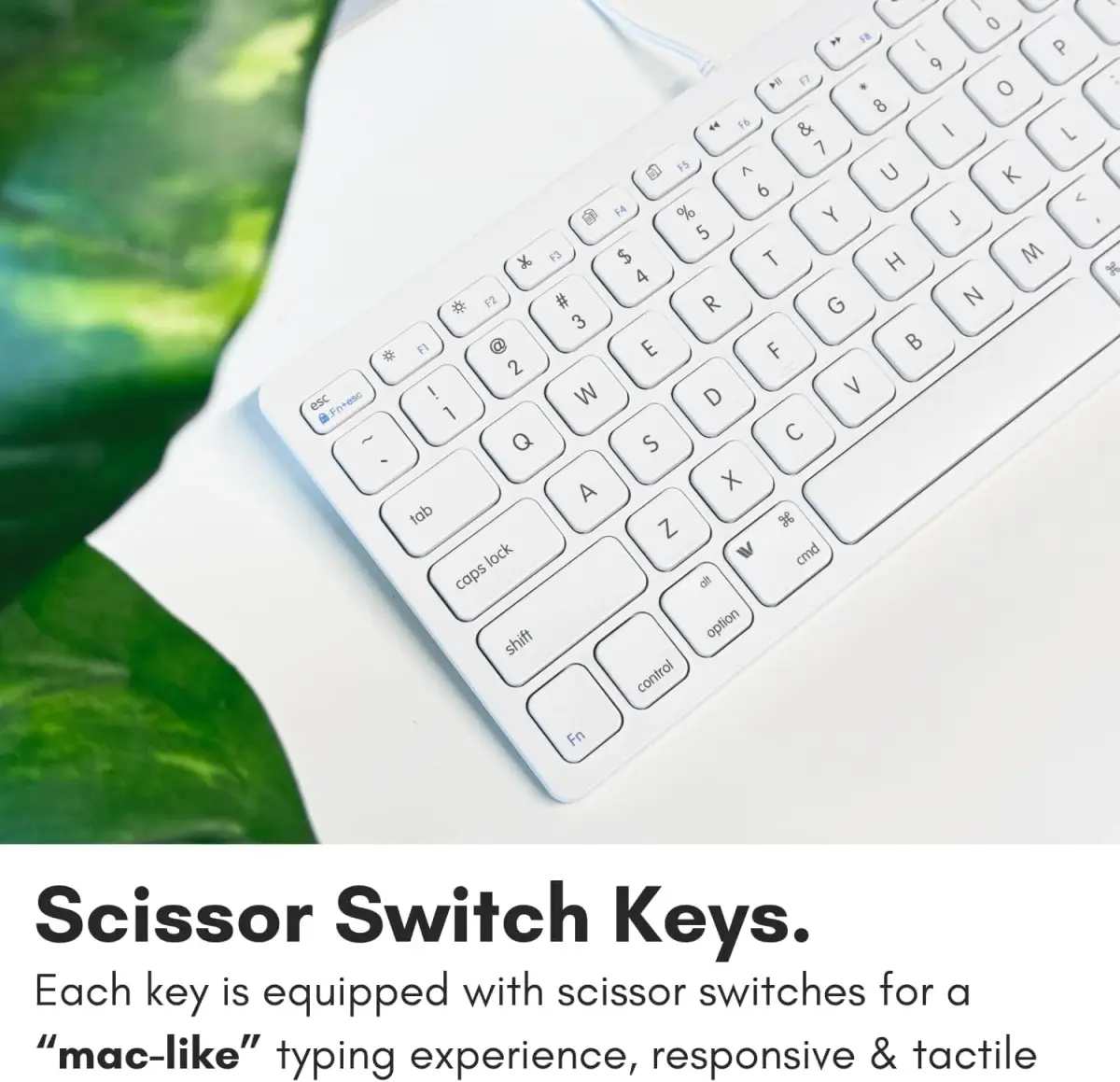 Macally SLIMKEYC USB Wired Keyboard White | 78 Scissor-Switch Keys & 13 Shortcut Keys - view 5