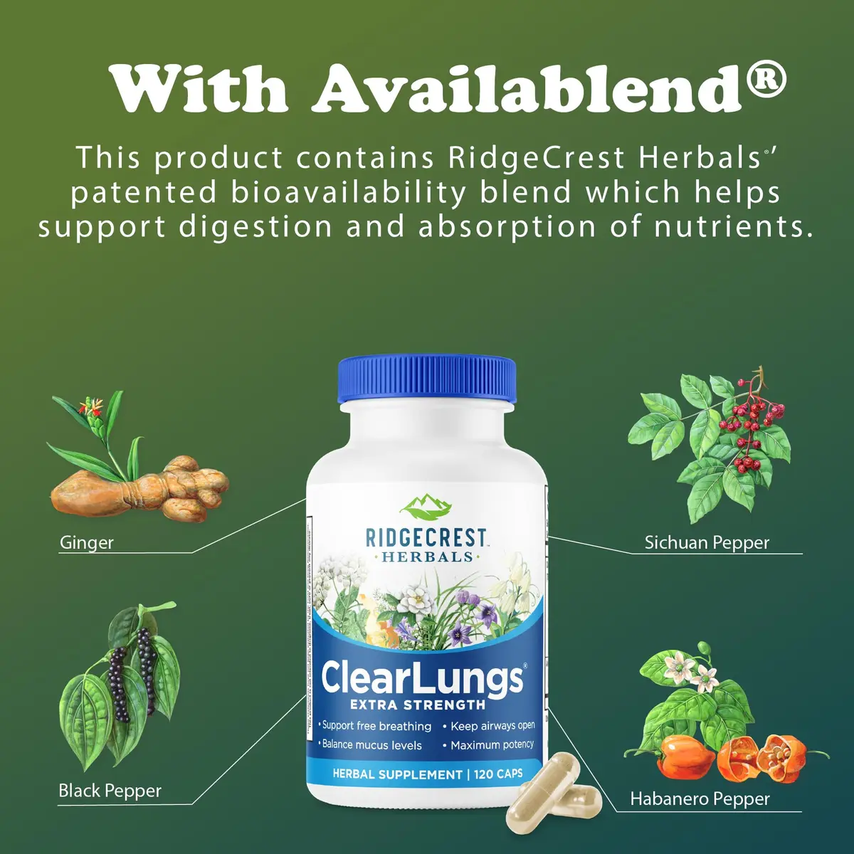 RidgeCrest Herbals ClearLungs Extra Strength Lung Support 120 Ct | Natural Respiratory Aid for Adults - view 7