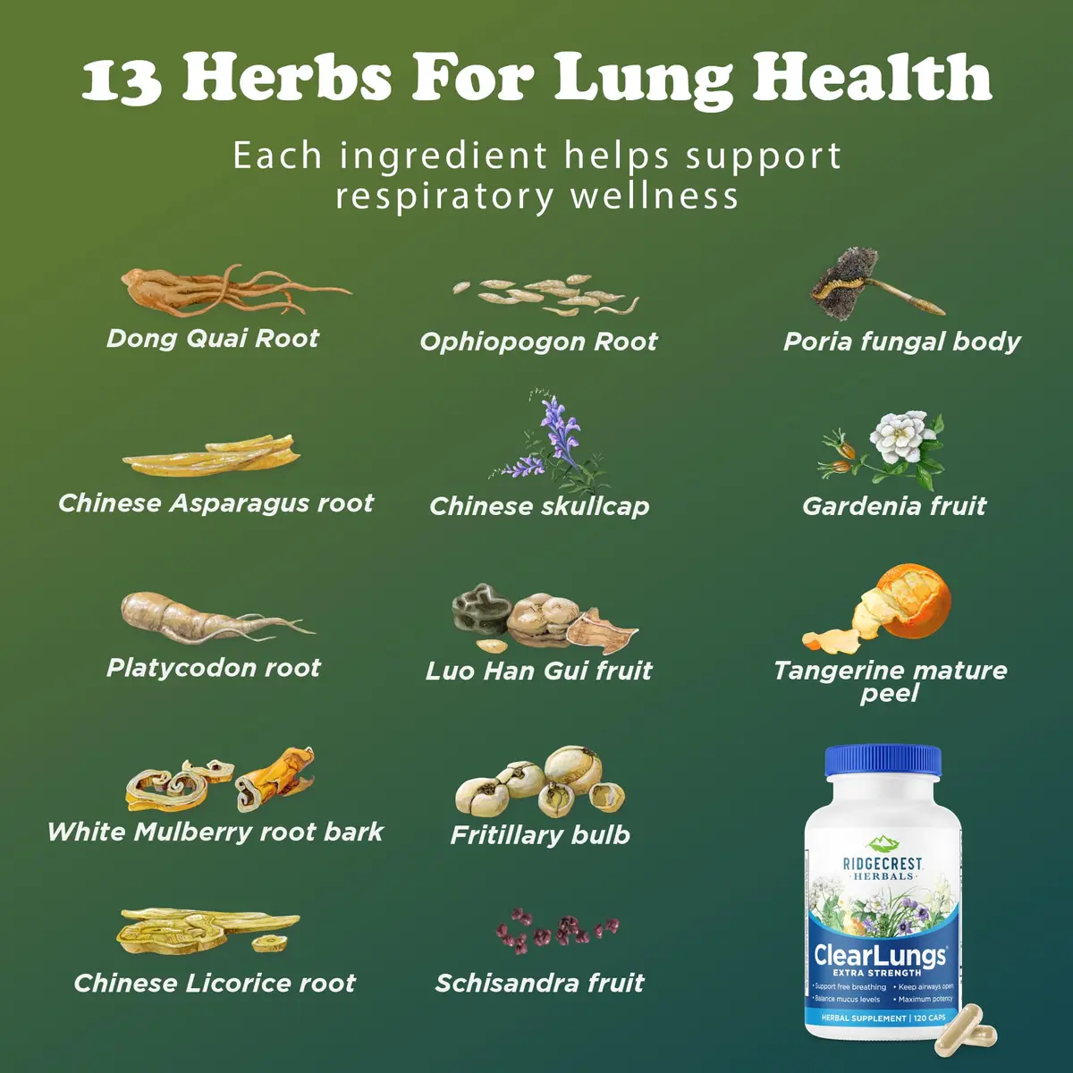 RidgeCrest Herbals ClearLungs Extra Strength Lung Support 120 Ct | Natural Respiratory Aid for Adults - view 8