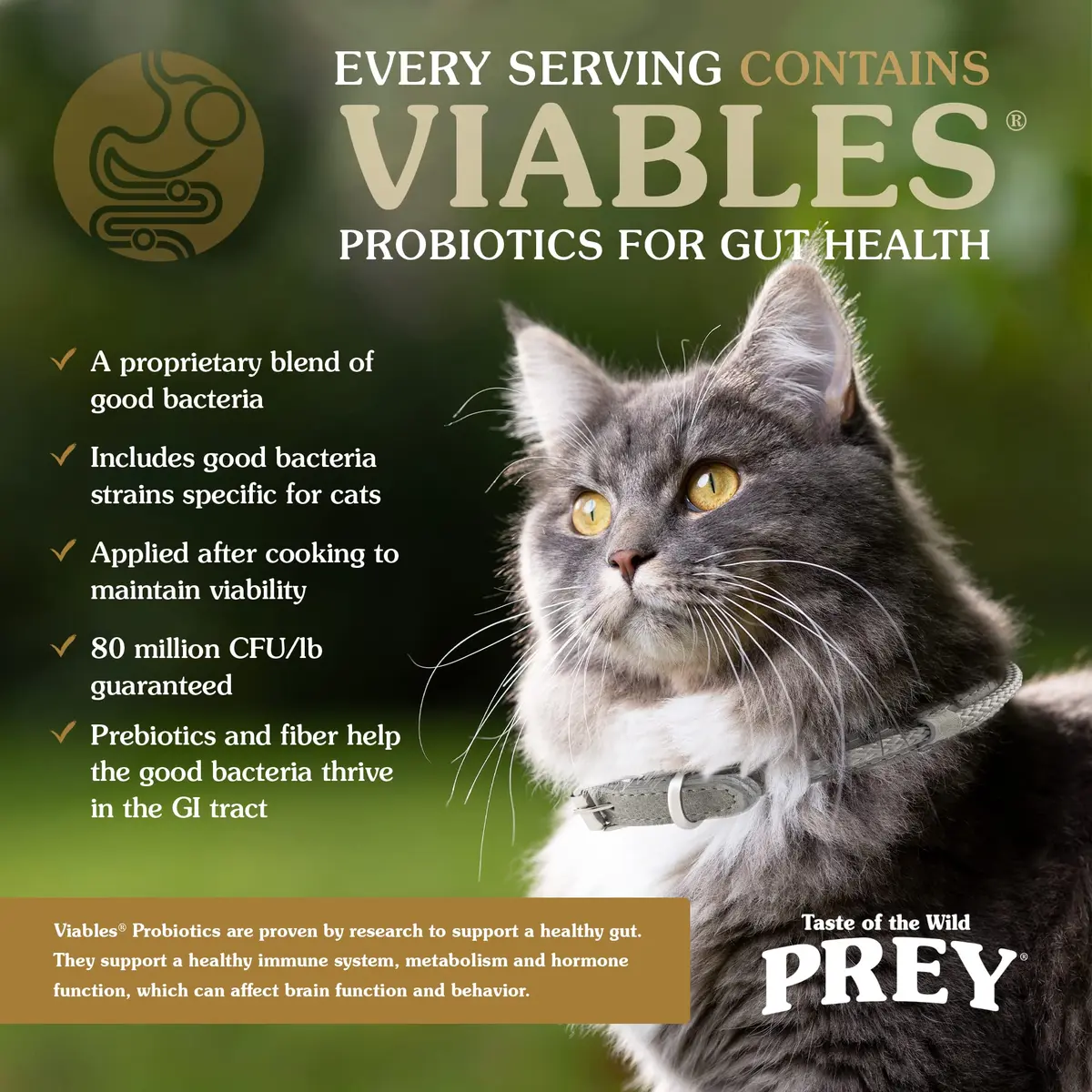 Taste of the Wild Prey Angus Beef Kitten, Adult & Senior Dry Cat Food 15lb | Limited Ingredient, Probiotics & Omega Support - view 5