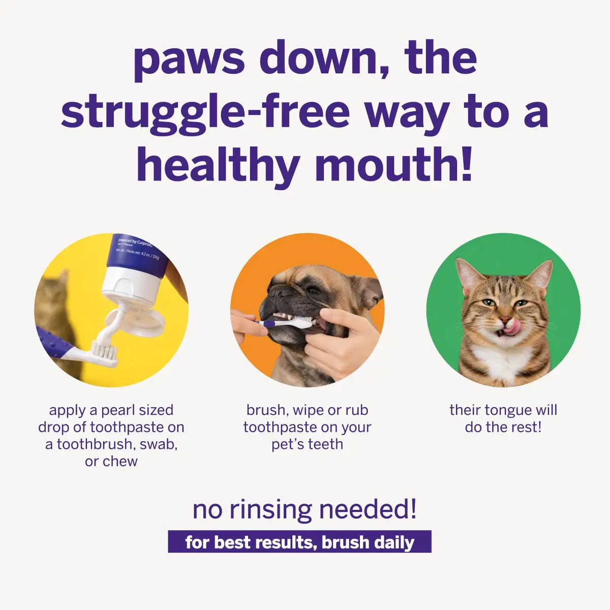 Petsmile Professional Pet Toothpaste London Broil 74ml (2.5 Oz) | VOHC Accepted Calprox® Powered - view 4