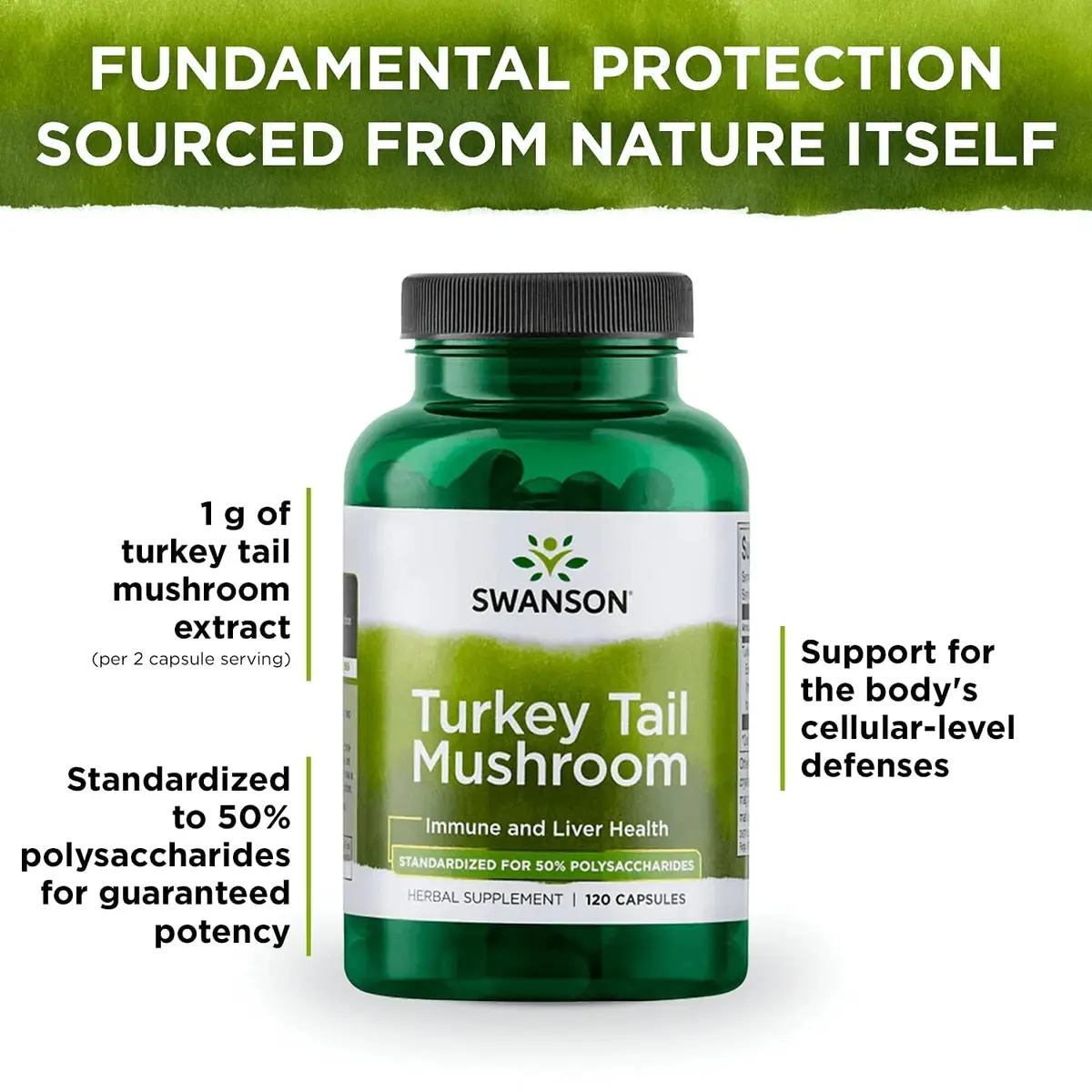 Swanson Turkey Tail Mushroom 500 mg 480 Count (Pack of 4) | Immune System Support with 45% Beta Glucans - view 5