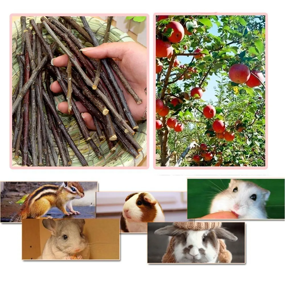 Sharllen Apple Sticks Pet Chew Toys for Rabbits & Small Animals | Organic 500g (18oz) | Supports Healthy Teeth - view 5