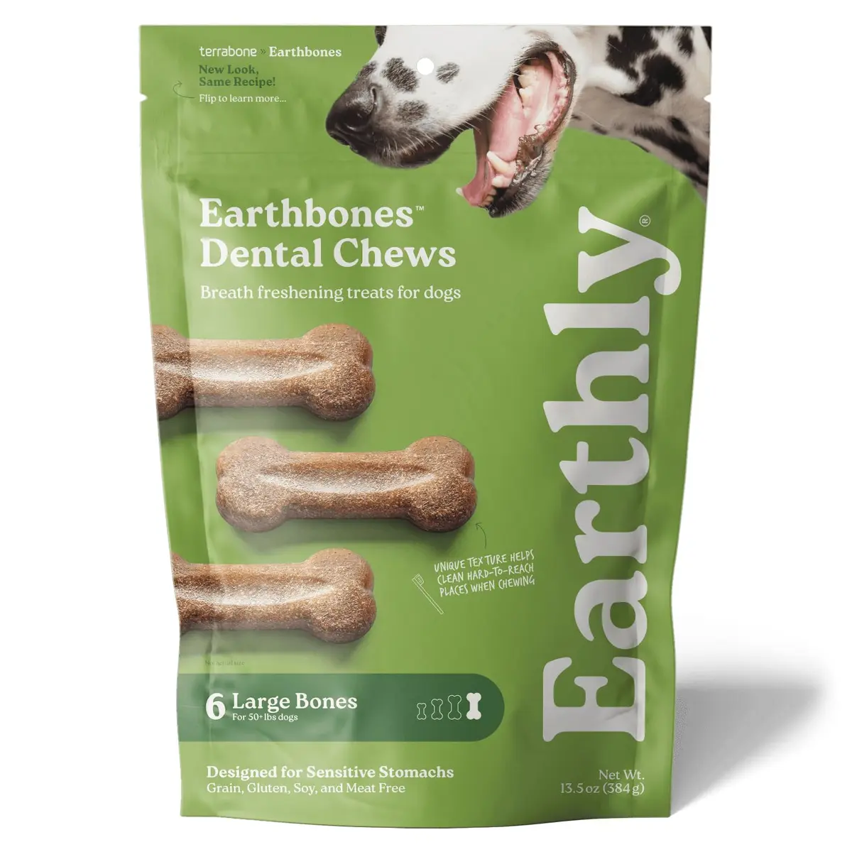 Earthly Presidio Earthbones Dental Chews for Dogs | Large, 6 Treats | Natural Dental Care - main product image