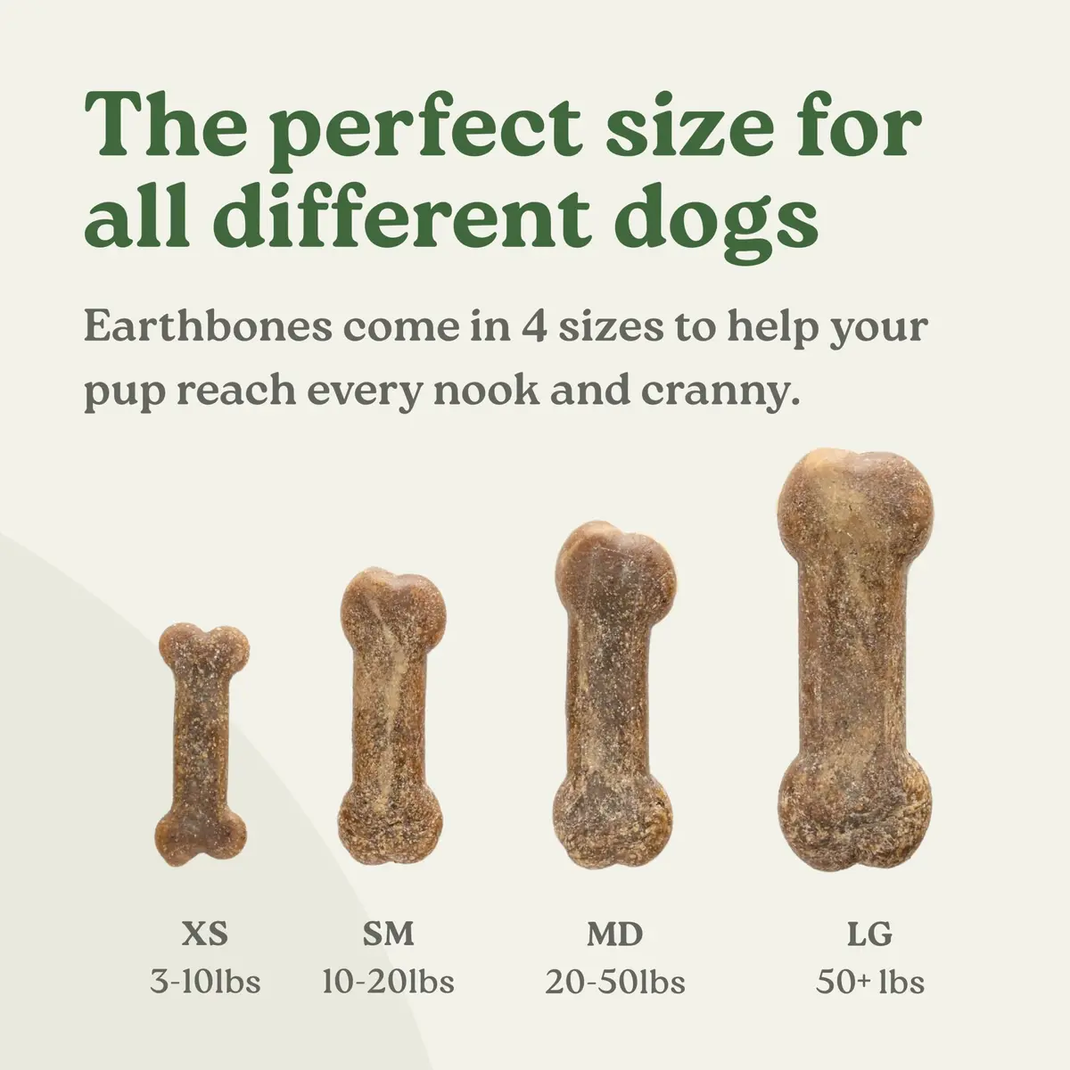 Earthly Presidio Earthbones Dental Chews for Dogs | Large, 6 Treats | Natural Dental Care - view 5