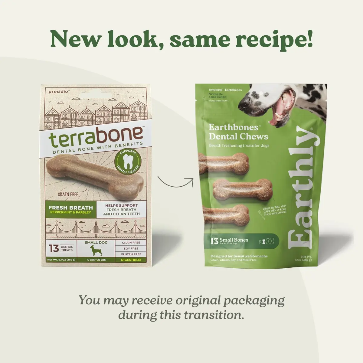 Earthly Presidio Earthbones Dental Chews for Dogs | Large, 6 Treats | Natural Dental Care - view 2