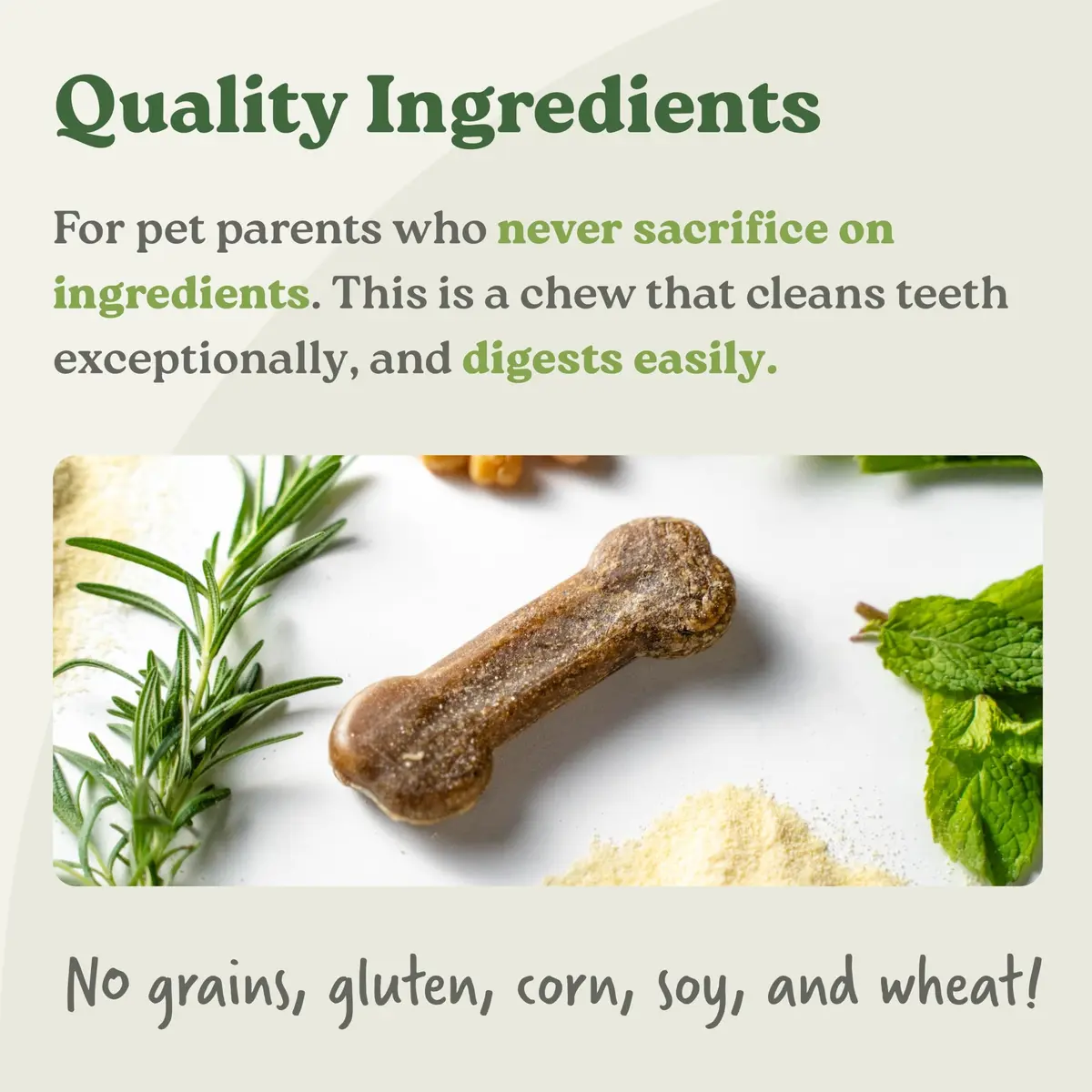 Earthly Presidio Earthbones Dental Chews for Dogs | Large, 6 Treats | Natural Dental Care - view 3