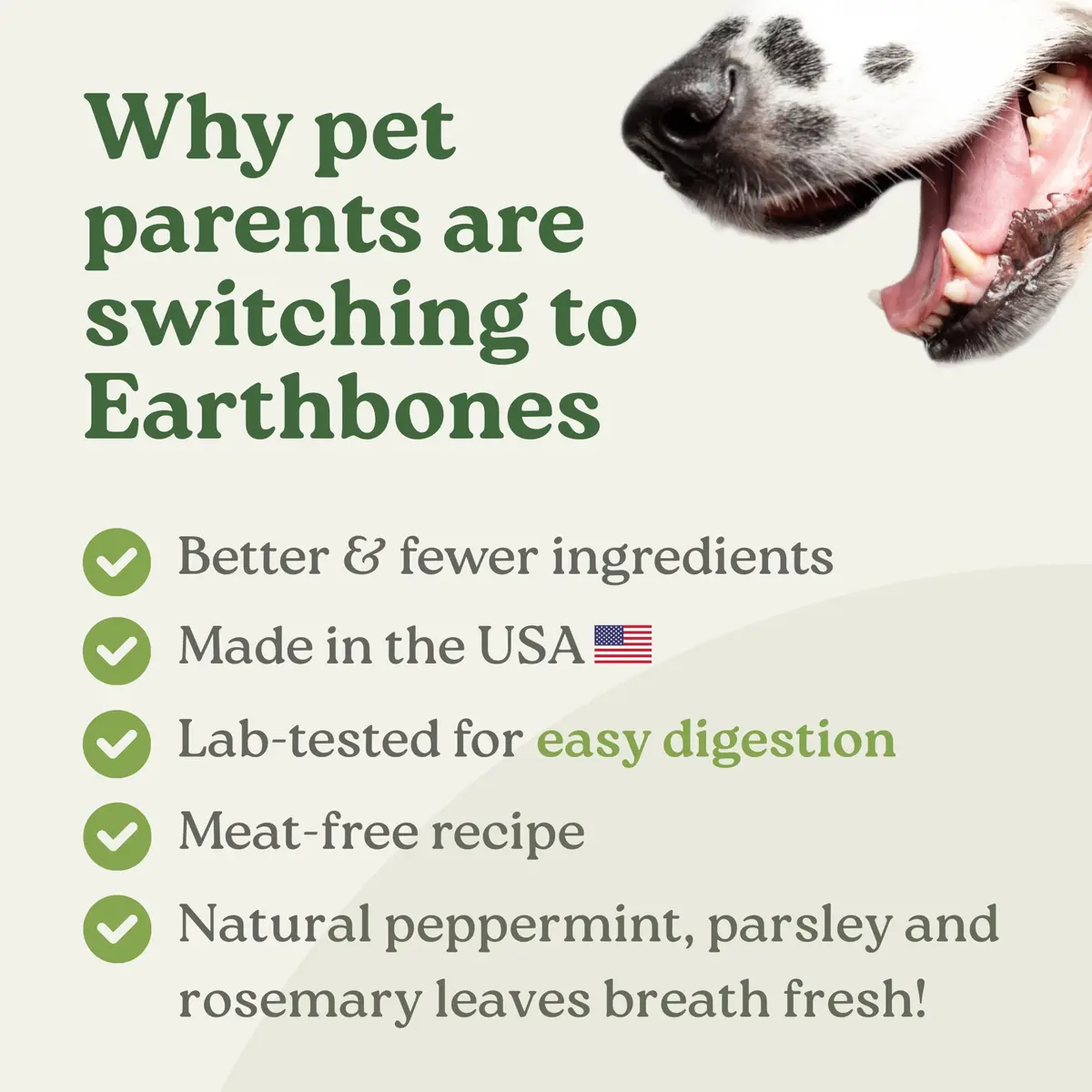 Earthly Presidio Earthbones Dental Chews for Dogs | Large, 6 Treats | Natural Dental Care - view 4