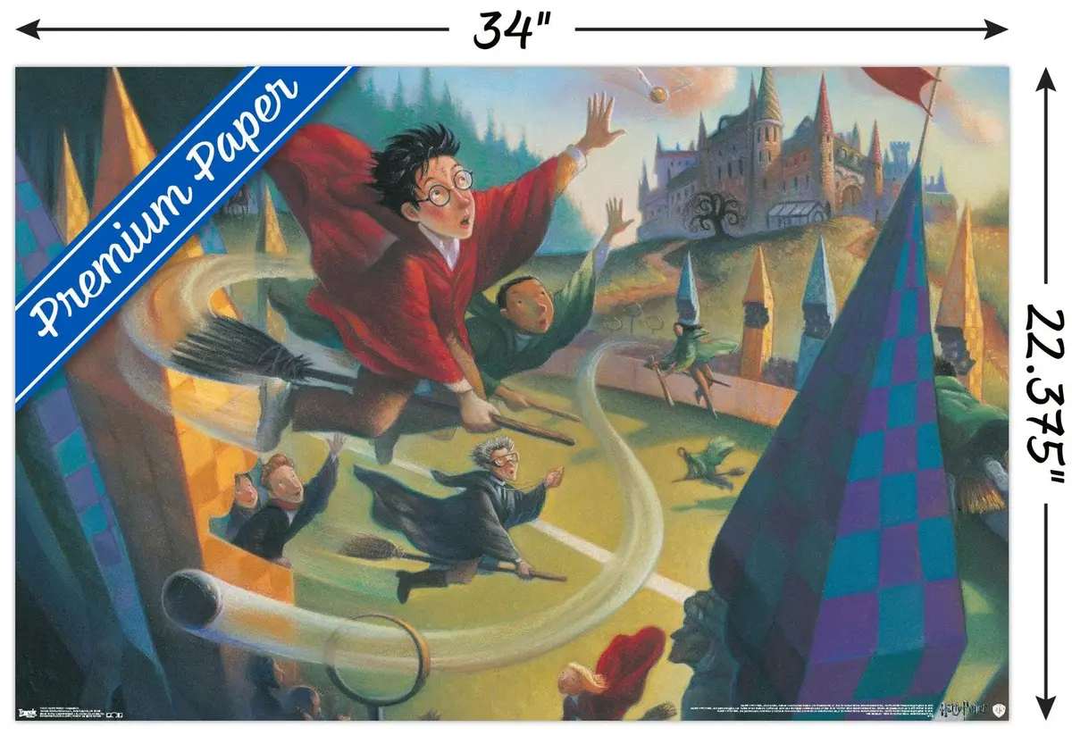 Trends International Harry Potter-Quidditch Premium Wall Poster 22.375" x 34" | High-Resolution Wall Art - view 3