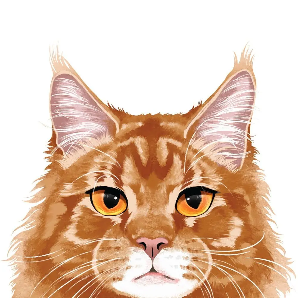 MUGBREW Ginger Orange Tabby Maine Coon Cat Ceramic Coffee Mug Tea Cup 11 OZ | Unique Ginger Orange Maine Coon Design - view 4