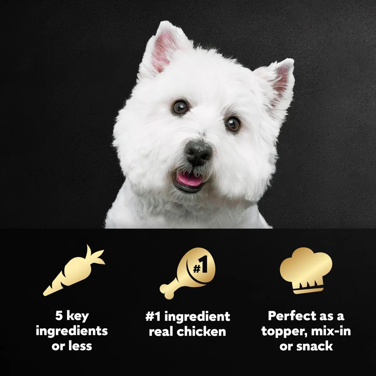 Cesar Simply Crafted Wet Dog Food Toppers, Chicken & Peas, 1.3 oz, 10 Count | Real Chicken & Veggies - view 2