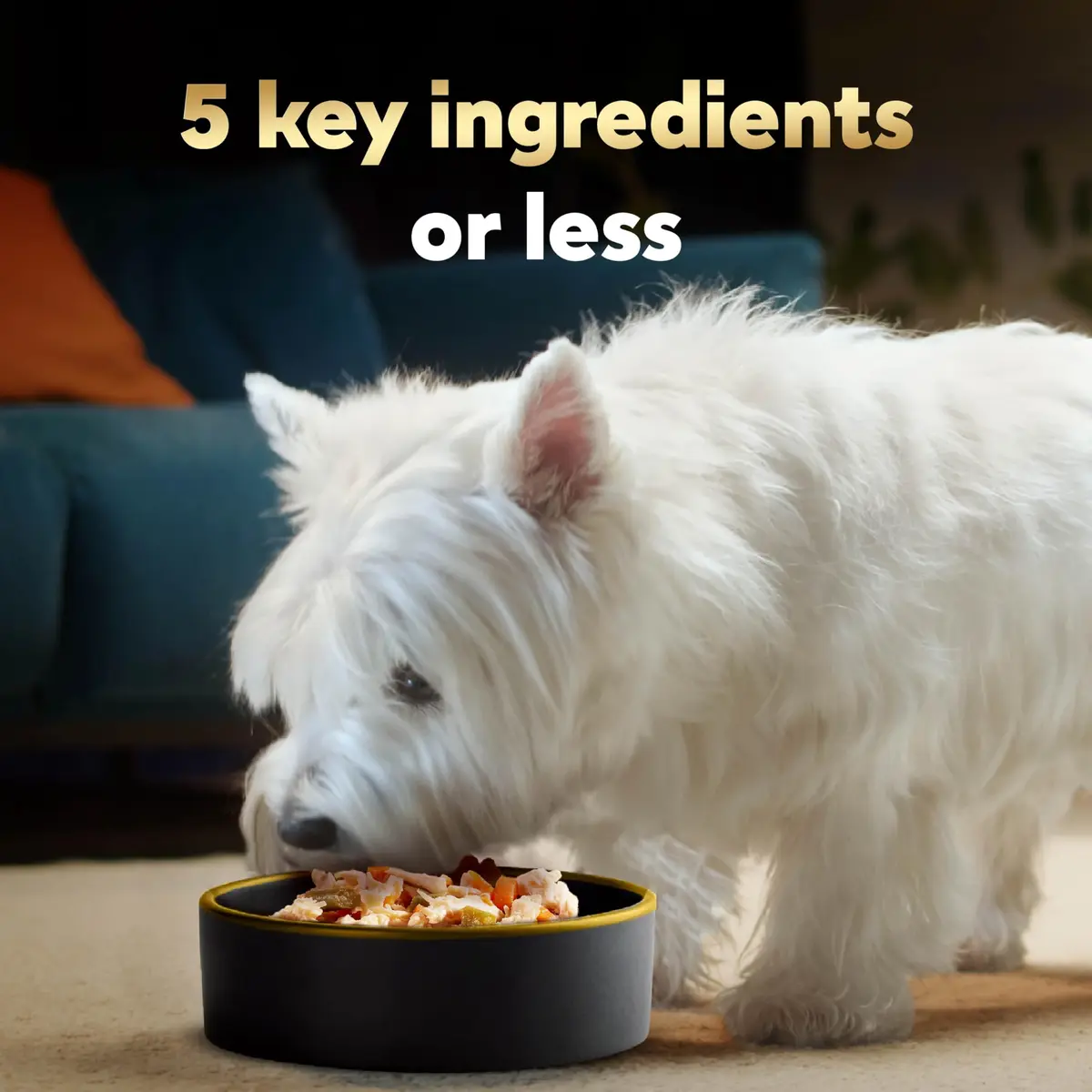 Cesar Simply Crafted Wet Dog Food Toppers, Chicken & Peas, 1.3 oz, 10 Count | Real Chicken & Veggies - view 3