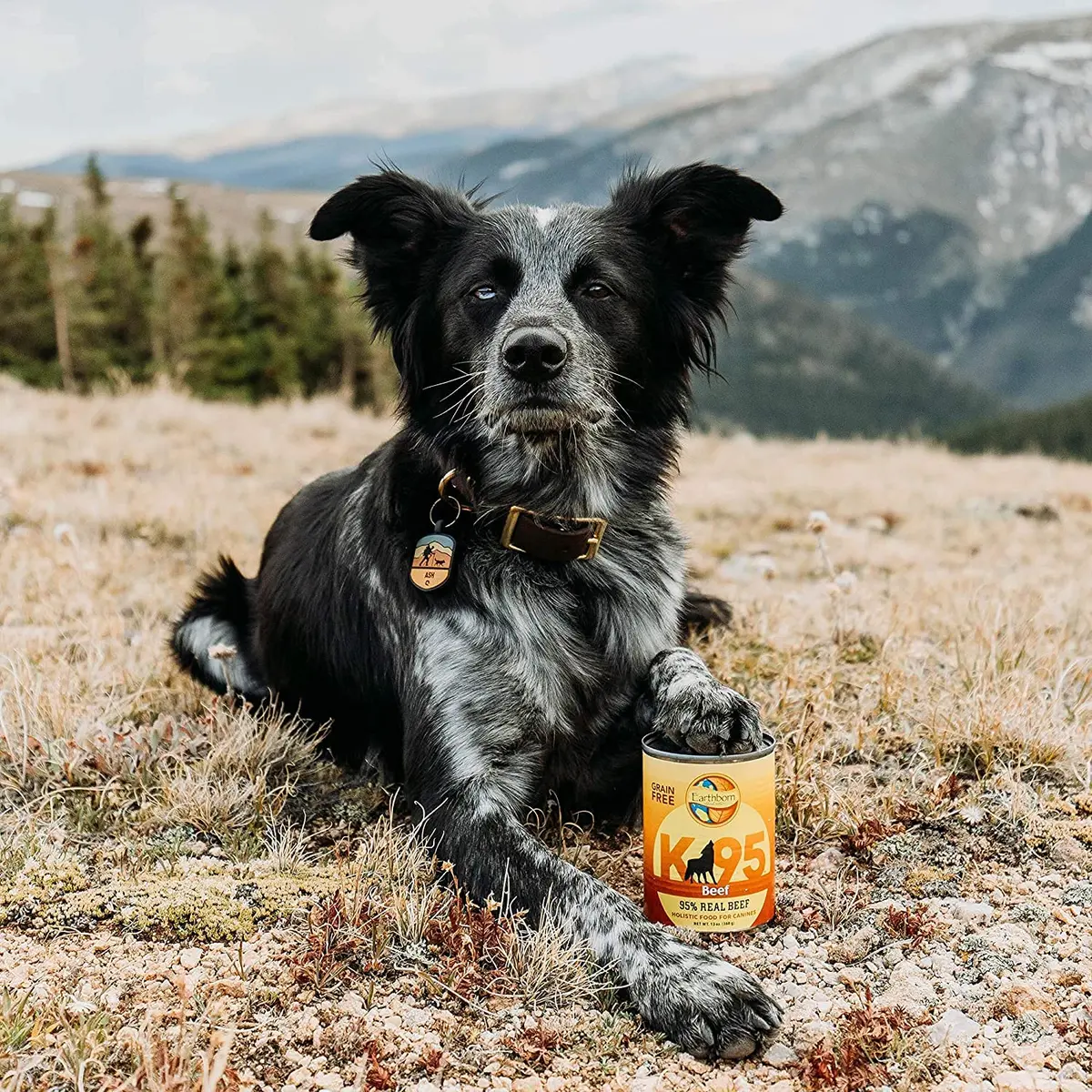 Earthborn Holistic K95 Beef Recipe Grain-Free Canned Dog Food 13 oz Can | 95% Real Beef, Grain-Free Nutrition - view 6