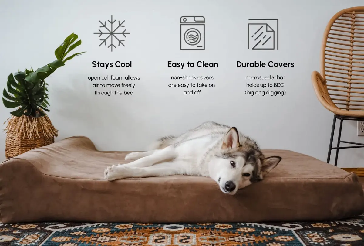 Big Barker Large Orthopedic Dog Bed 48x30x7 in Charcoal | 10-Year Shape Guarantee for Large Dogs - view 6