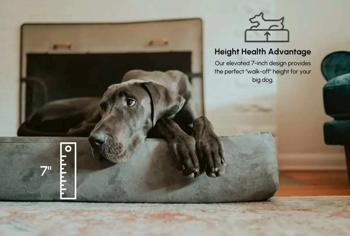 Big Barker Large Orthopedic Dog Bed 48x30x7 in Charcoal | 10-Year Shape Guarantee for Large Dogs - view 8