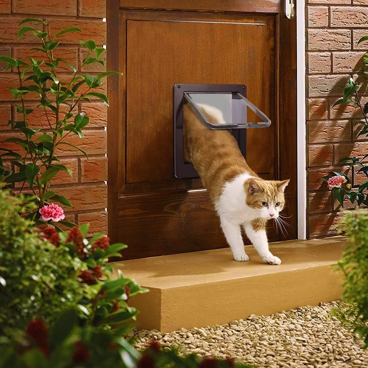 Sailnovo Large Cat Door Flap 9.25" x 9.84" | 4-Way Locking, Weatherproof ABS, Quiet (70-120c) - view 2