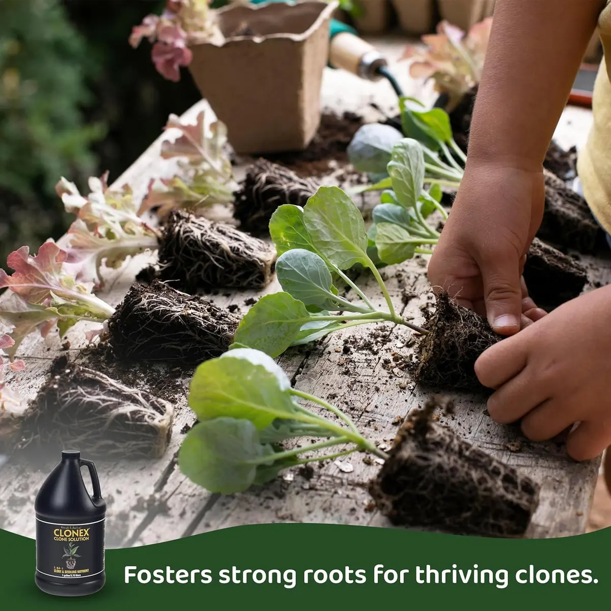 Clonex Clone Solution 20ml | Supports Root Development & Stress Minimize - view 4