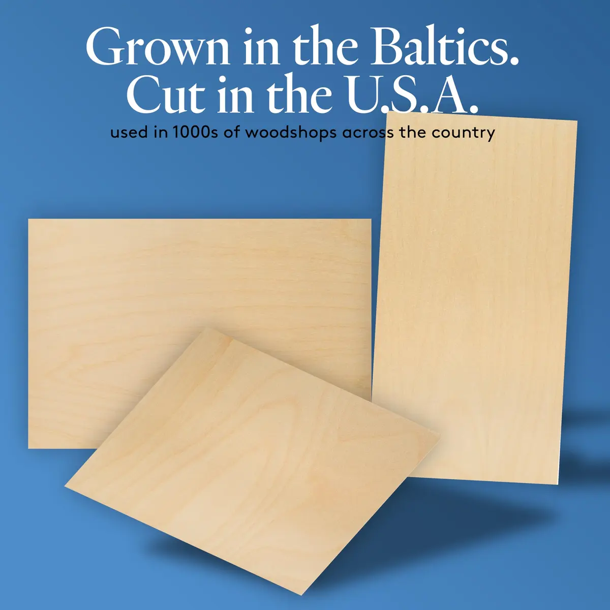 Woodpeckers Baltic Birch Plywood 8" x 8" | 3 mm 1/8 Craft Wood, B/BB Grade, Stronger Than Basswood - view 3