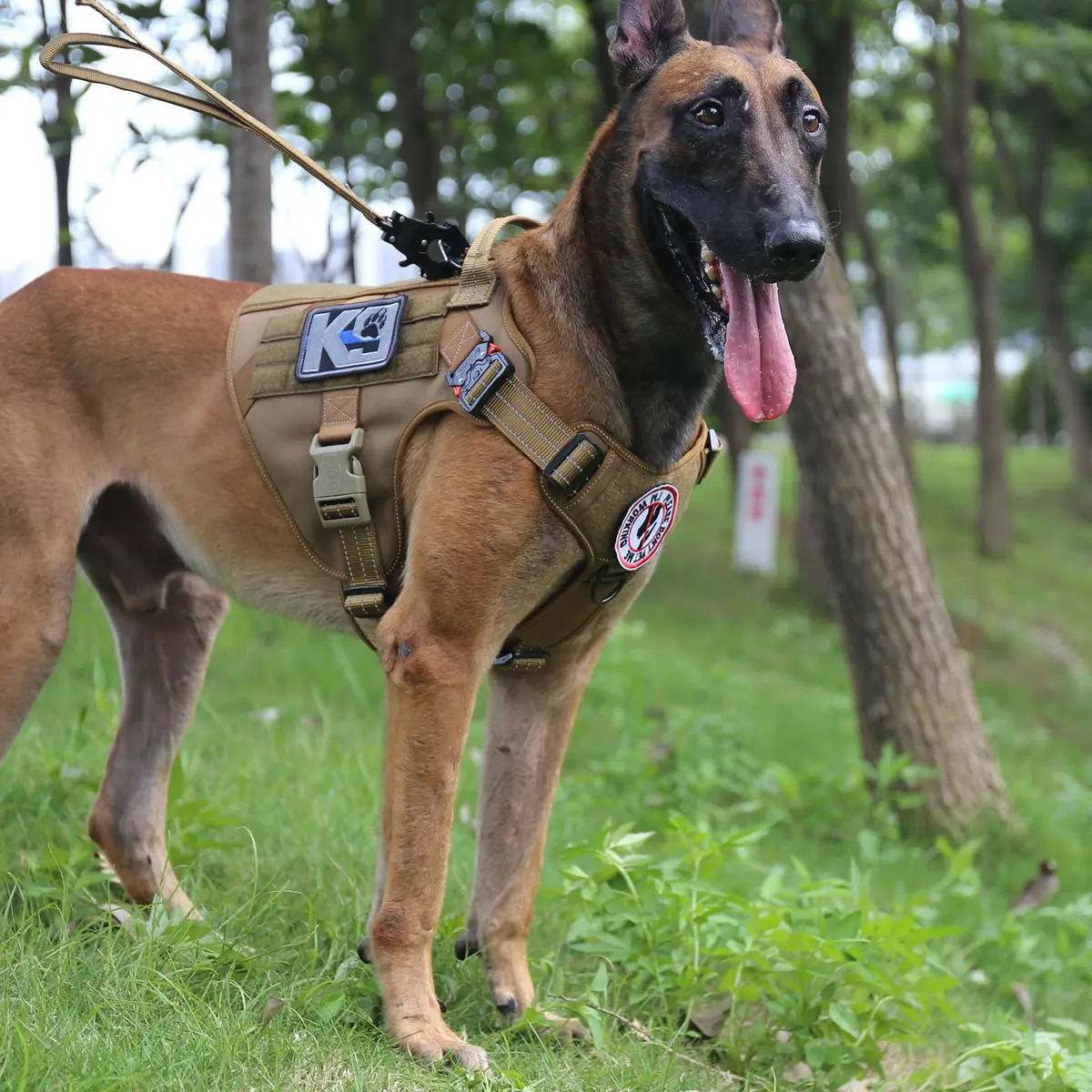 ICEFANG Tactical Dog Harness for Large Dogs, Reflective No-Pull Vest 650g (22.9 oz) | Heavy Duty Control Handle & MOLLE System - view 4