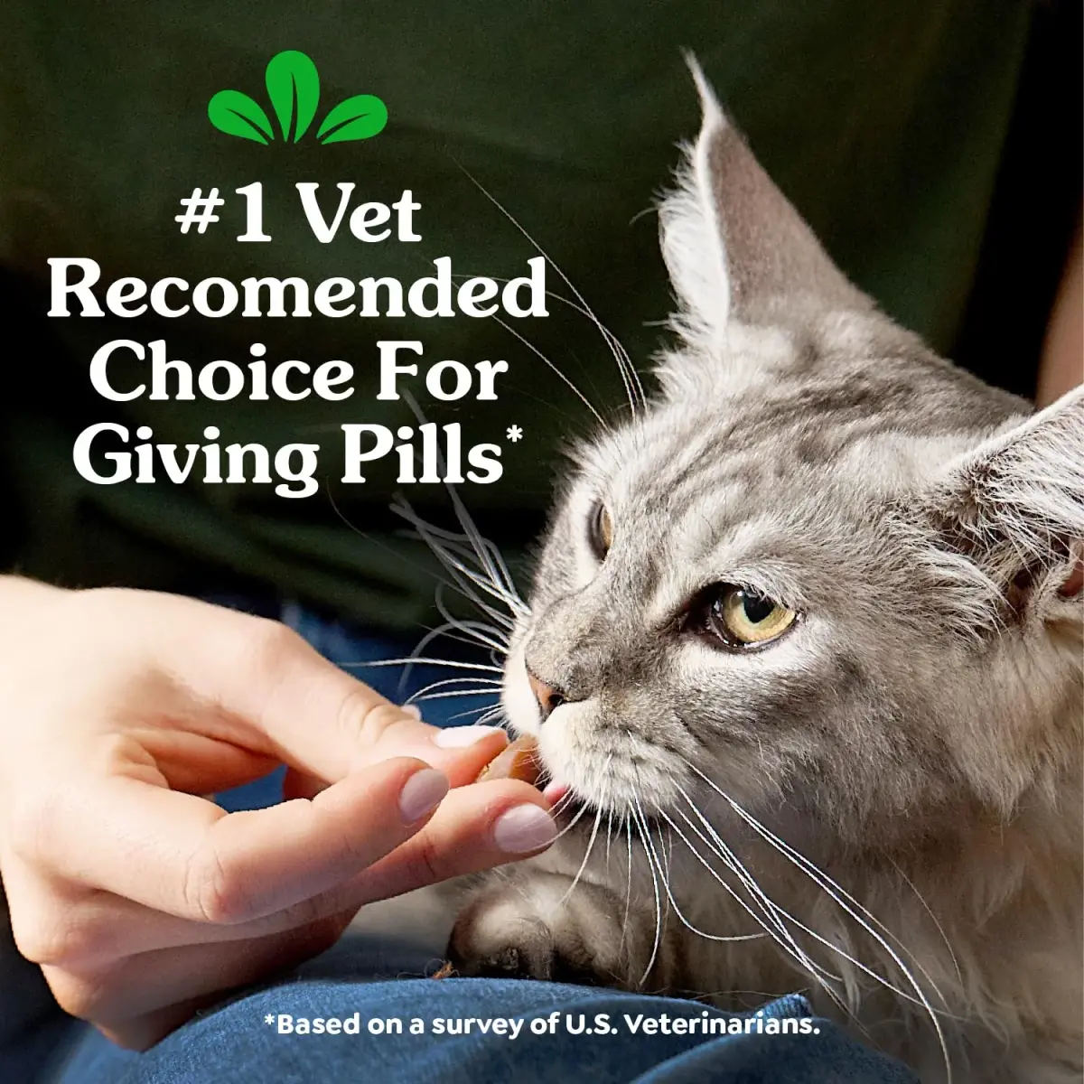 Greenies Feline Pill Pockets Salmon Flavor 85 Count | Vet-Recommended Cat Treats for Hiding Pills - view 3