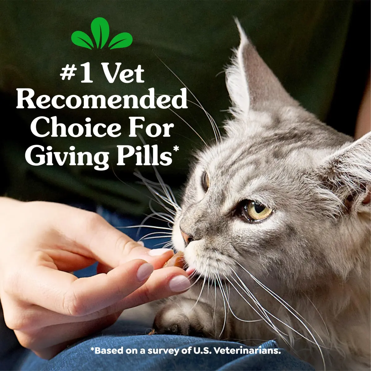 Greenies Feline Pill Pockets Soft Cat Treats, Chicken Flavor, 3 Ounce Pack - view 3