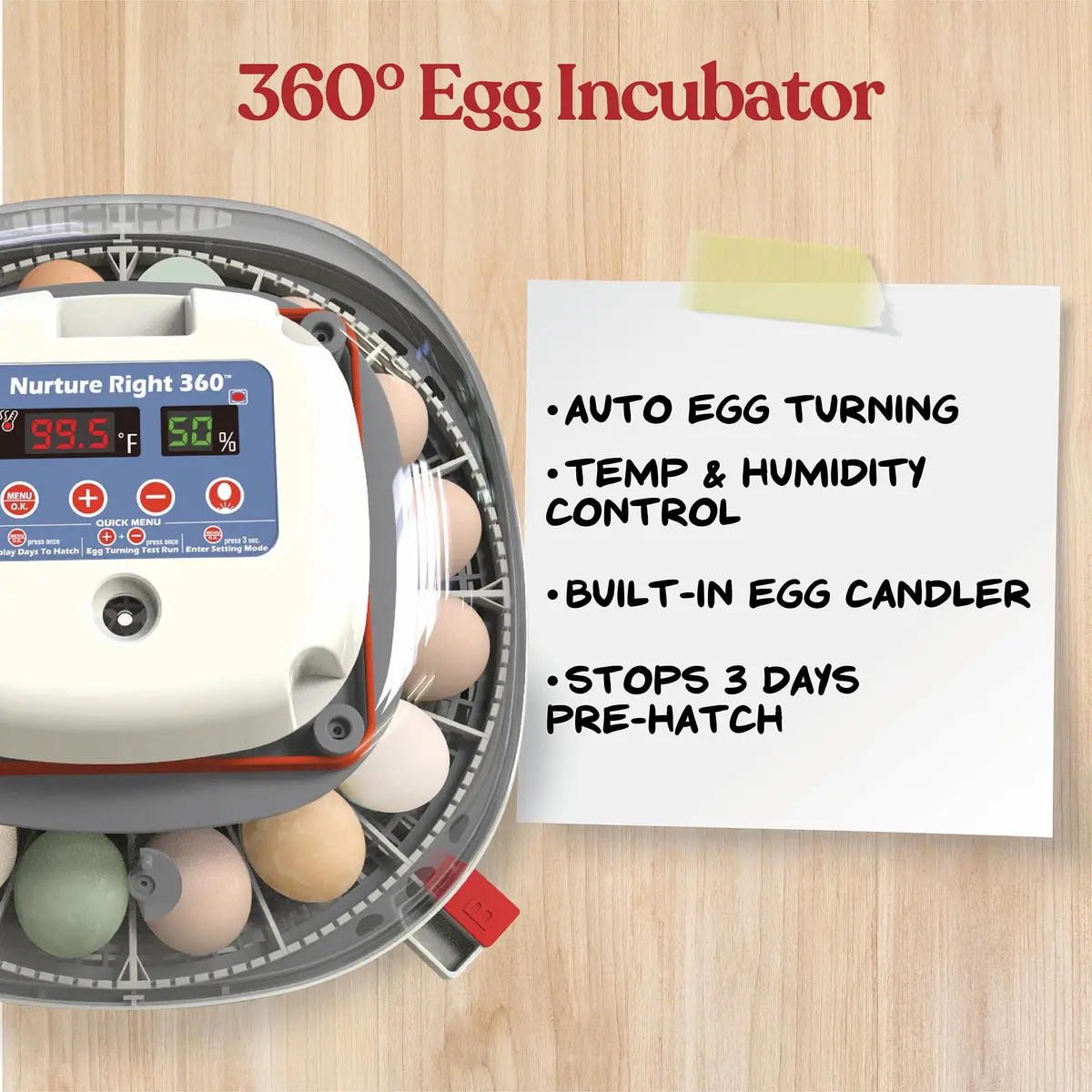 Harris Farms Nurture Right 360 Egg Incubator with Auto Turner, Holds 22 Eggs | Automatic Temperature & Humidity Control - view 4