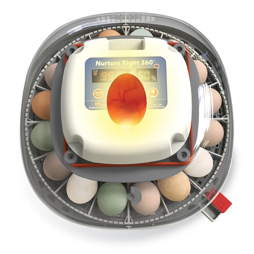 Harris Farms Nurture Right 360 Egg Incubator with Auto Turner, Holds 22 Eggs | Automatic Temperature & Humidity Control - view 2