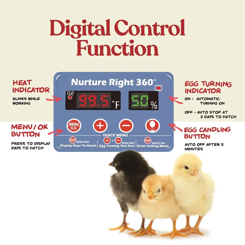 Harris Farms Nurture Right 360 Egg Incubator with Auto Turner, Holds 22 Eggs | Automatic Temperature & Humidity Control - view 3