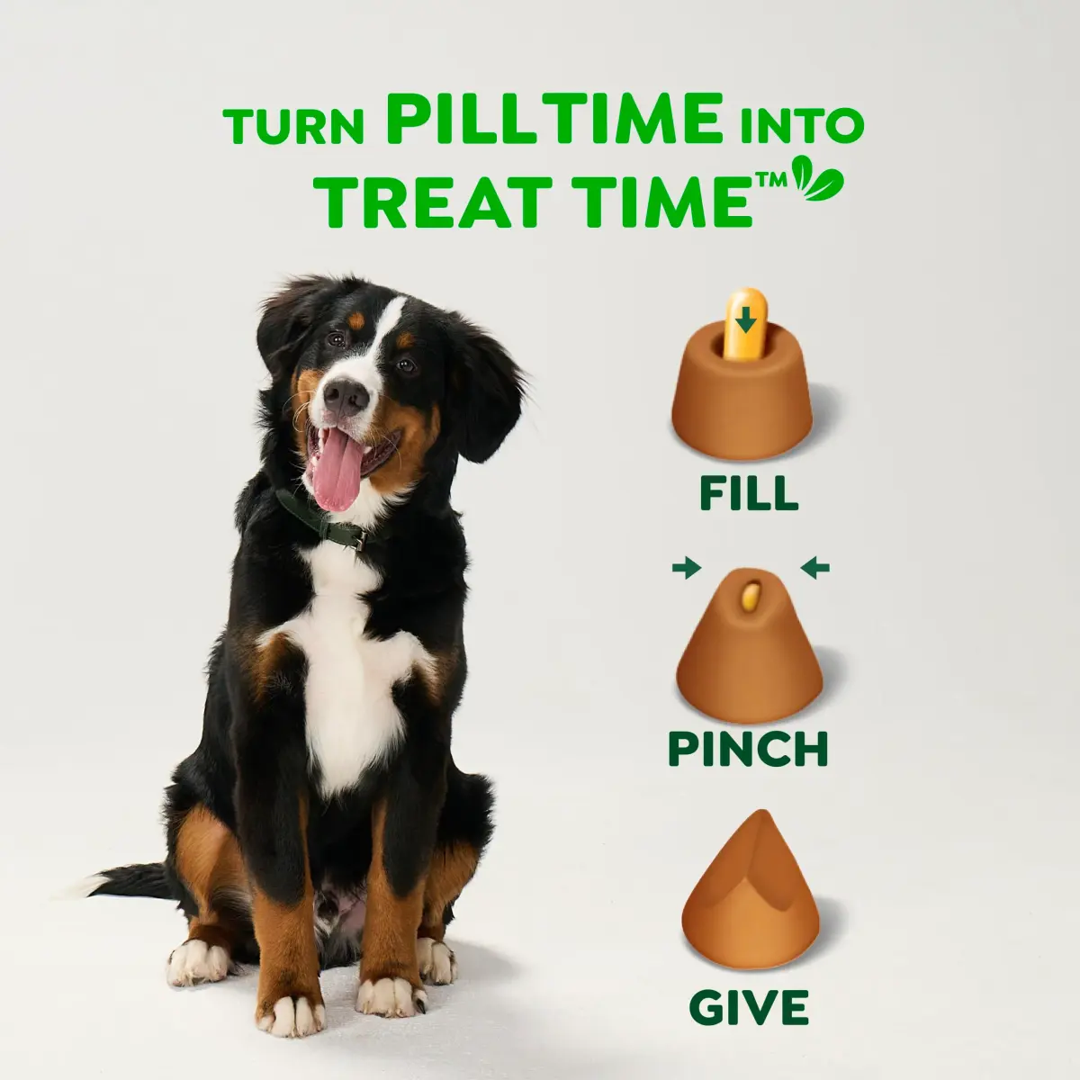 Greenies Pill Pockets Large Size Dog Treats, Cheese Flavor, 30 Count (7.9 oz) | Vet-Recommended Pill Hiding Treat - view 7