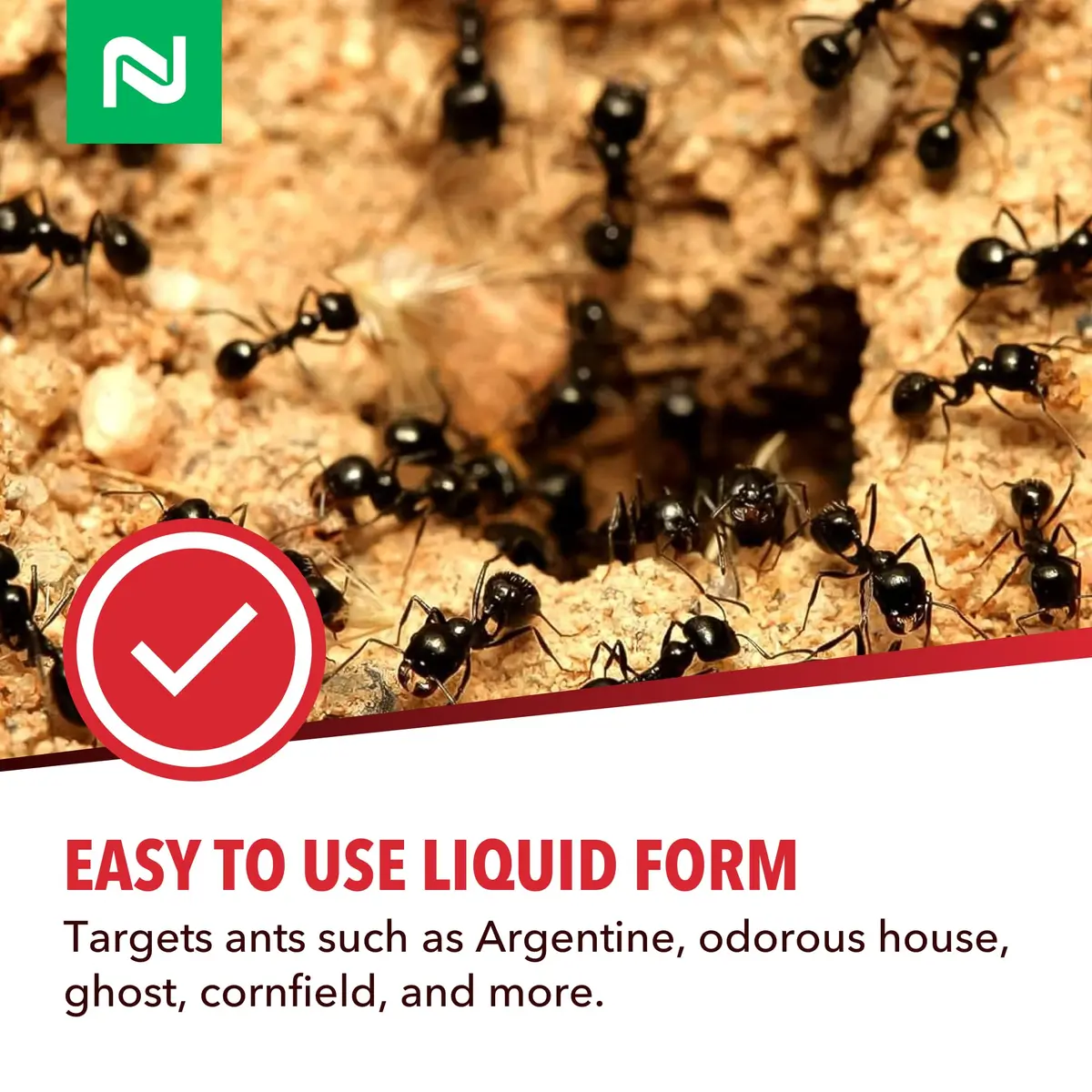 Nisus Dominant Liquid Ant Bait Borax-Based Eliminator 16 oz | Fast-Acting Household Ant Control - view 6