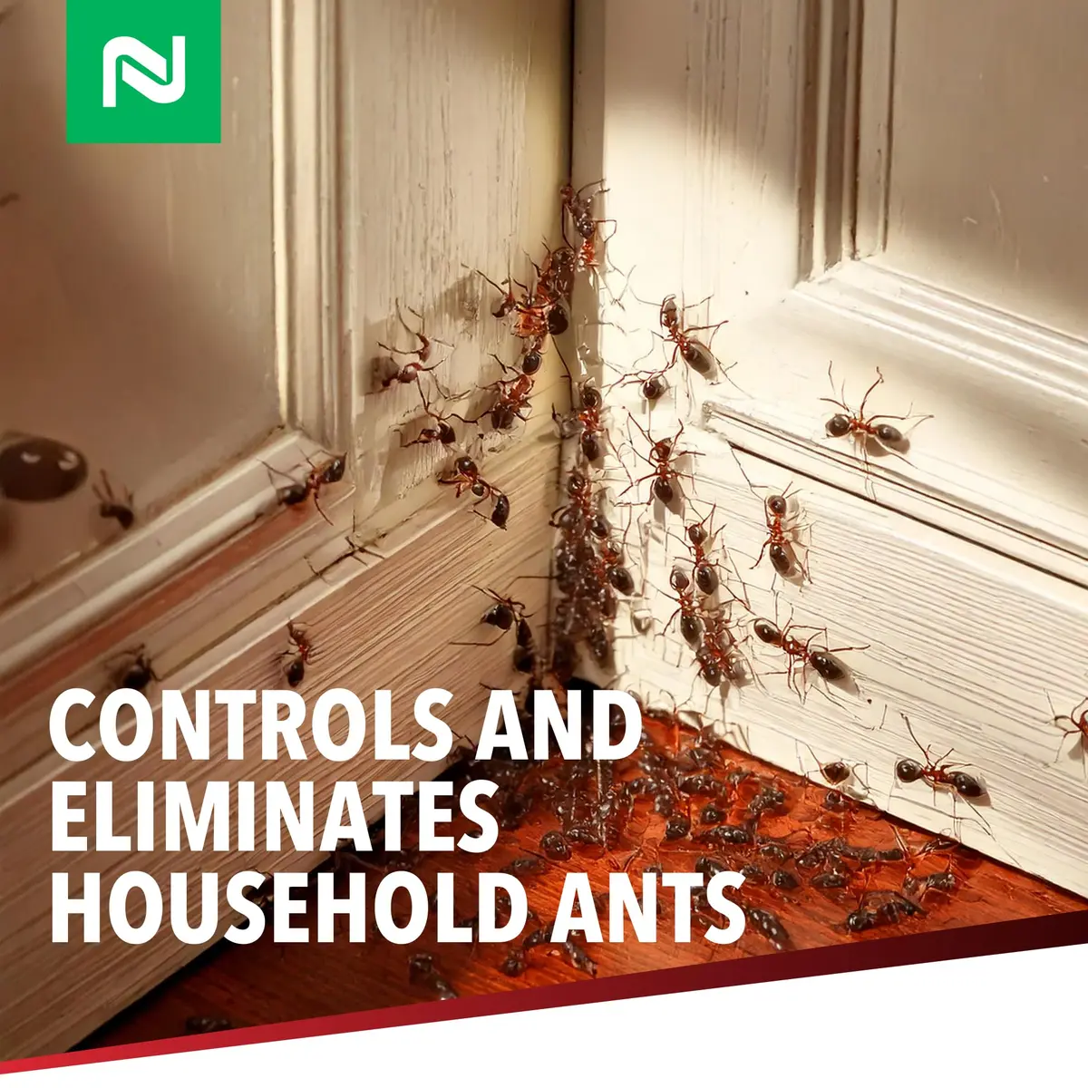 Nisus Dominant Liquid Ant Bait Borax-Based Eliminator 16 oz | Fast-Acting Household Ant Control - view 3