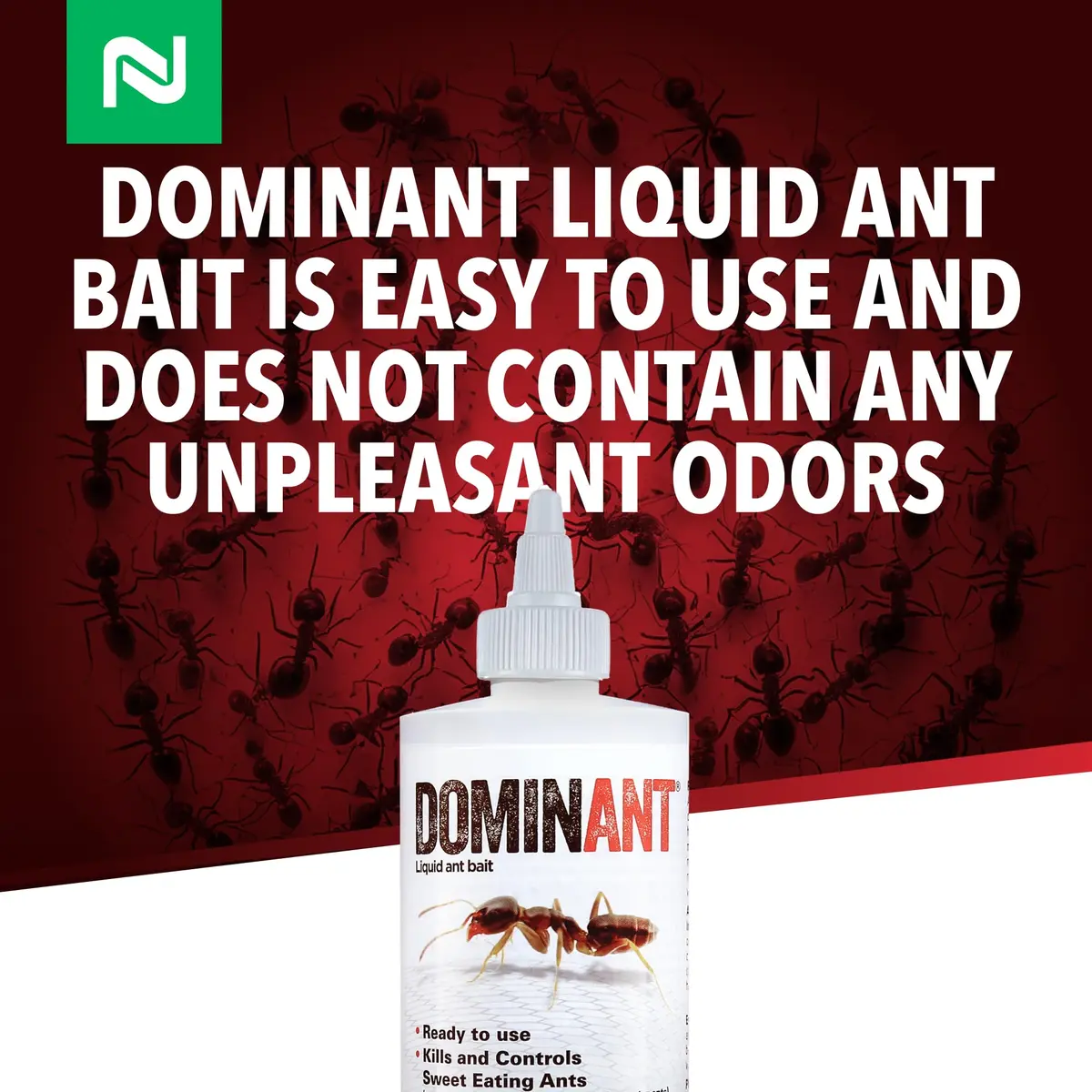 Nisus Dominant Liquid Ant Bait Borax-Based Eliminator 16 oz | Fast-Acting Household Ant Control - view 4