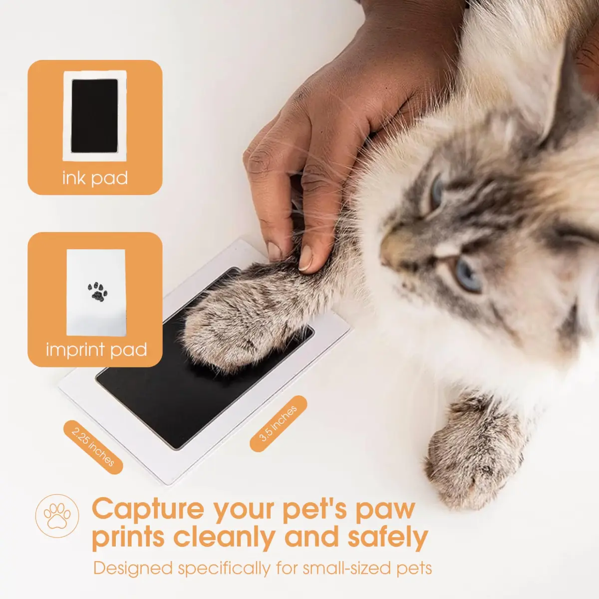 Pearhead Paw Print Clean Touch Ink Pad Kit for Dogs and Cats, Black Ink, 1 Pad & 2 Cards | Mess-Free Pet Keepsake - view 2