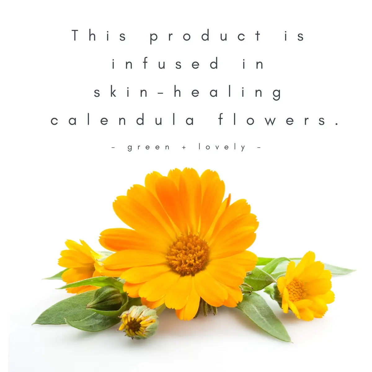 Green + Lovely Calendula Skin Stick Organic Lotion Balm 14.17 g (0.5 oz) | Certified Organic, Unscented, For All Skin Types - view 9