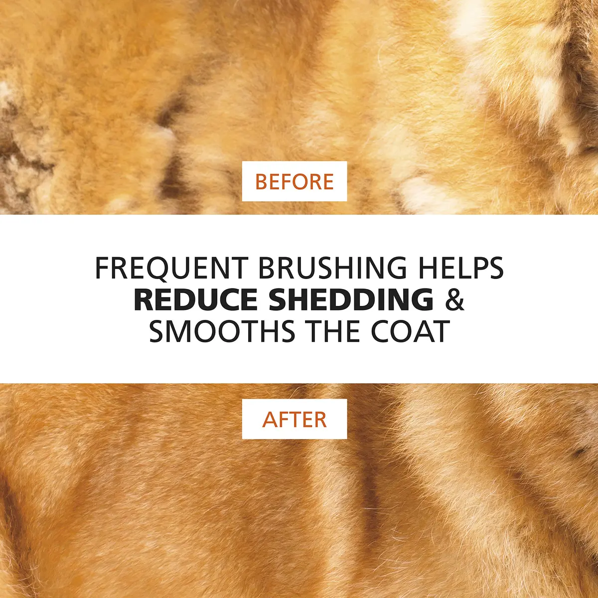 Wahl Premium Patented Dual Level Sensitive Skin Pet Slicker Brush | Large Dual Pins for All Coats - view 7
