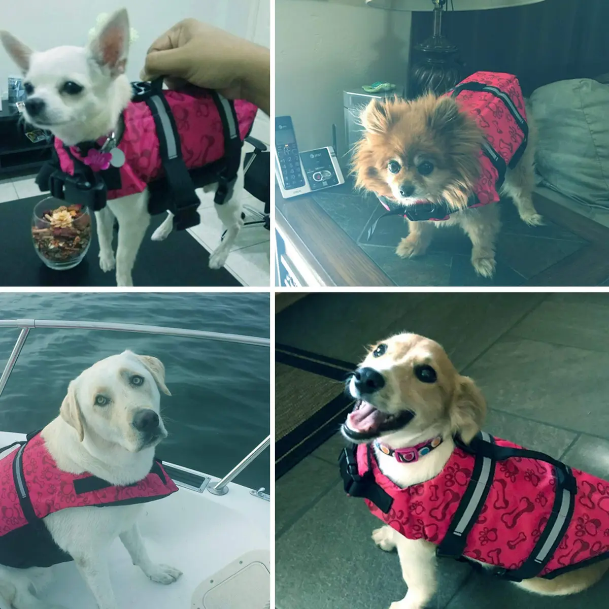 SNIK-S Dog Life Jacket Preserver with Reflective Stripes & Adjustable Belt | Water Safety Gear for Short Nose Dogs - view 2