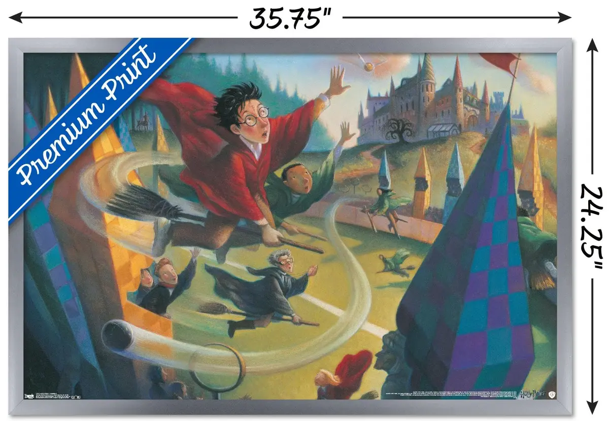 Trends International Harry Potter-Quidditch Wall Poster 24.25" x 35.75" | Modern Wall Art with Satin Finish - view 3