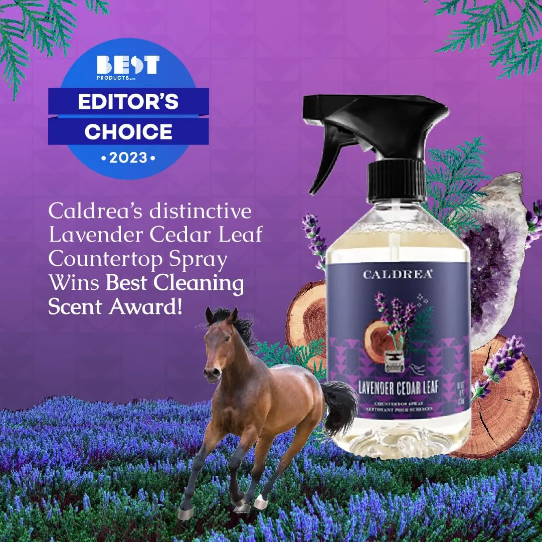 Caldrea Multi-surface CounterTop Spray Cleaner Lavender Cedar Leaf 473ml (16 Fl Oz) | Vegetable Protein Extract Odor Remover - view 5