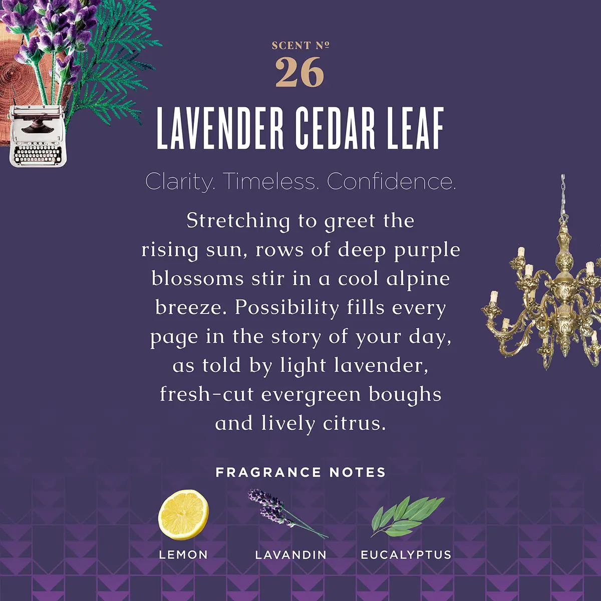 Caldrea Multi-surface CounterTop Spray Cleaner Lavender Cedar Leaf 473ml (16 Fl Oz) | Vegetable Protein Extract Odor Remover - view 4