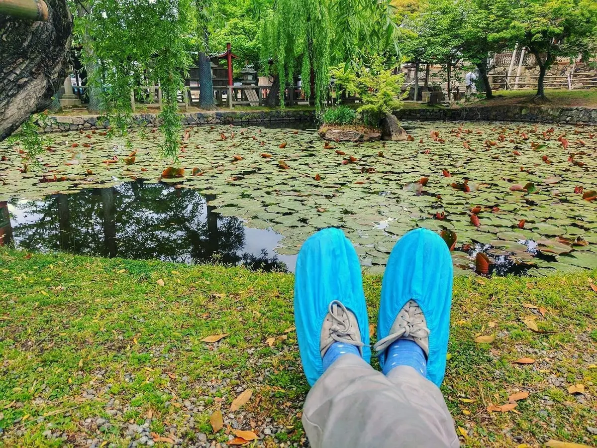Blue Shoe Guys Premium Disposable Boot & Shoe Covers 200 Pack | Durable, Non-Slip, Water Resistant, Recyclable for Indoor & Outdoor Use - view 9