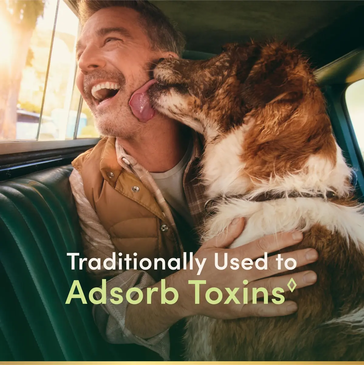 Nature's Bounty Activated Charcoal 260 mg | Detox & Toxin Adsorption Support (120 chars) - view 2