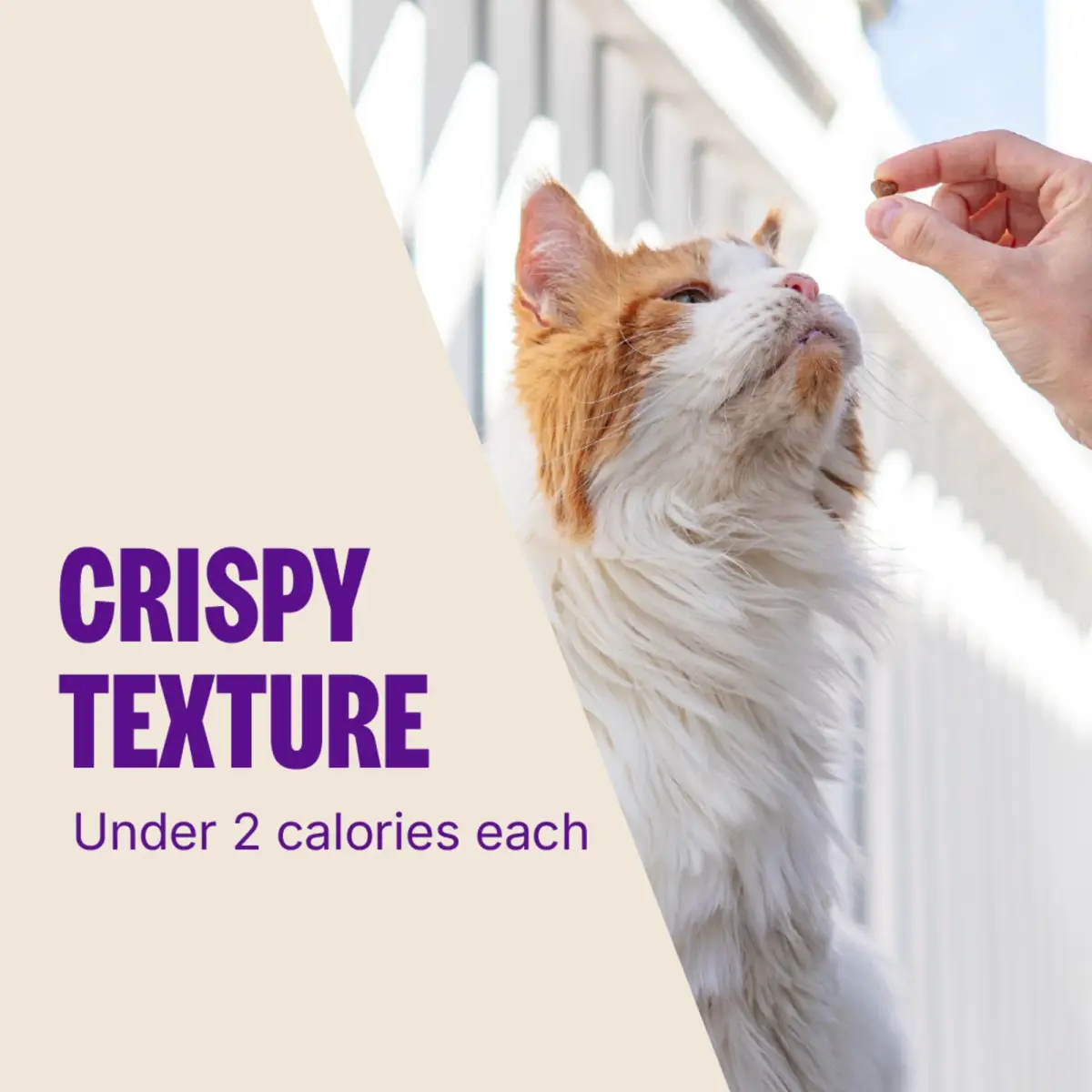 Wellness Kittles Crunchy Cat Treats Salmon & Cranberries Flavor 170g (6 oz) | Grain-Free Dental Snack - view 7