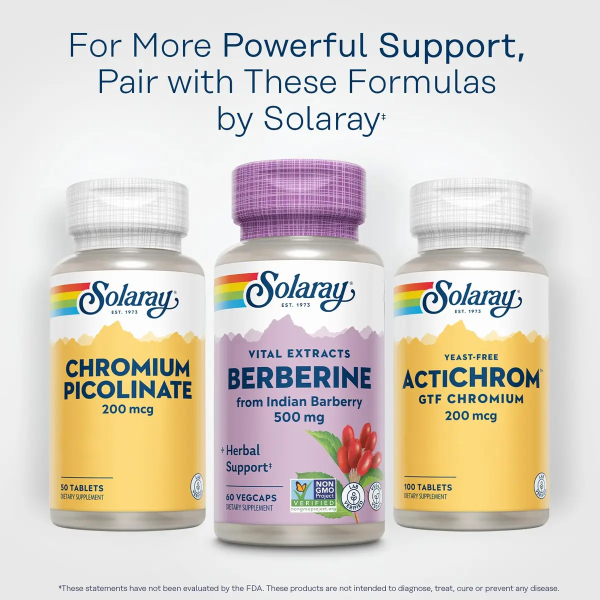 SOLARAY Berberine Extract 500 mg | Herbal Support for Active Lifestyle (70-120 chars) - view 6
