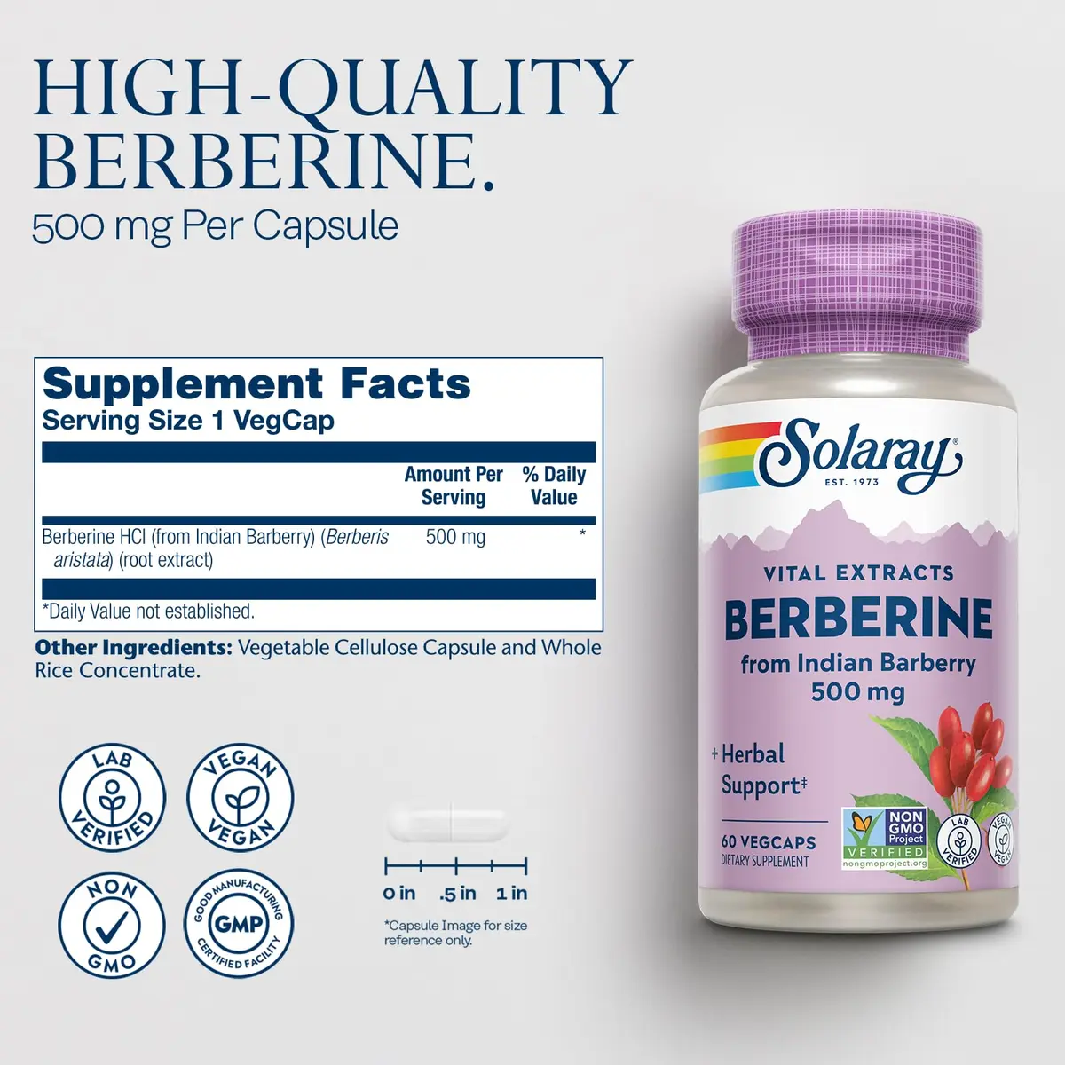 SOLARAY Berberine Extract 500 mg | Herbal Support for Active Lifestyle (70-120 chars) - view 2