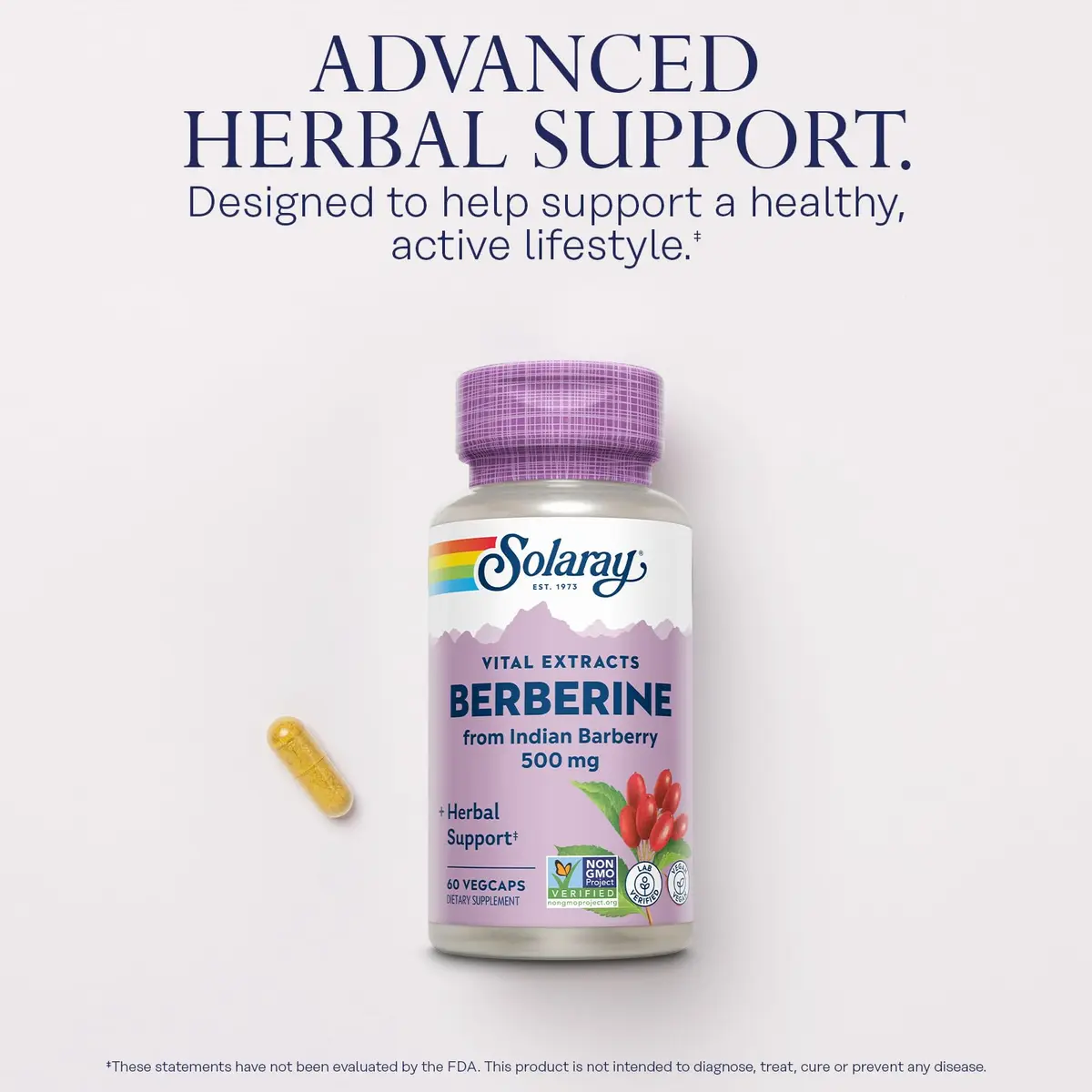 SOLARAY Berberine Extract 500 mg | Herbal Support for Active Lifestyle (70-120 chars) - view 3