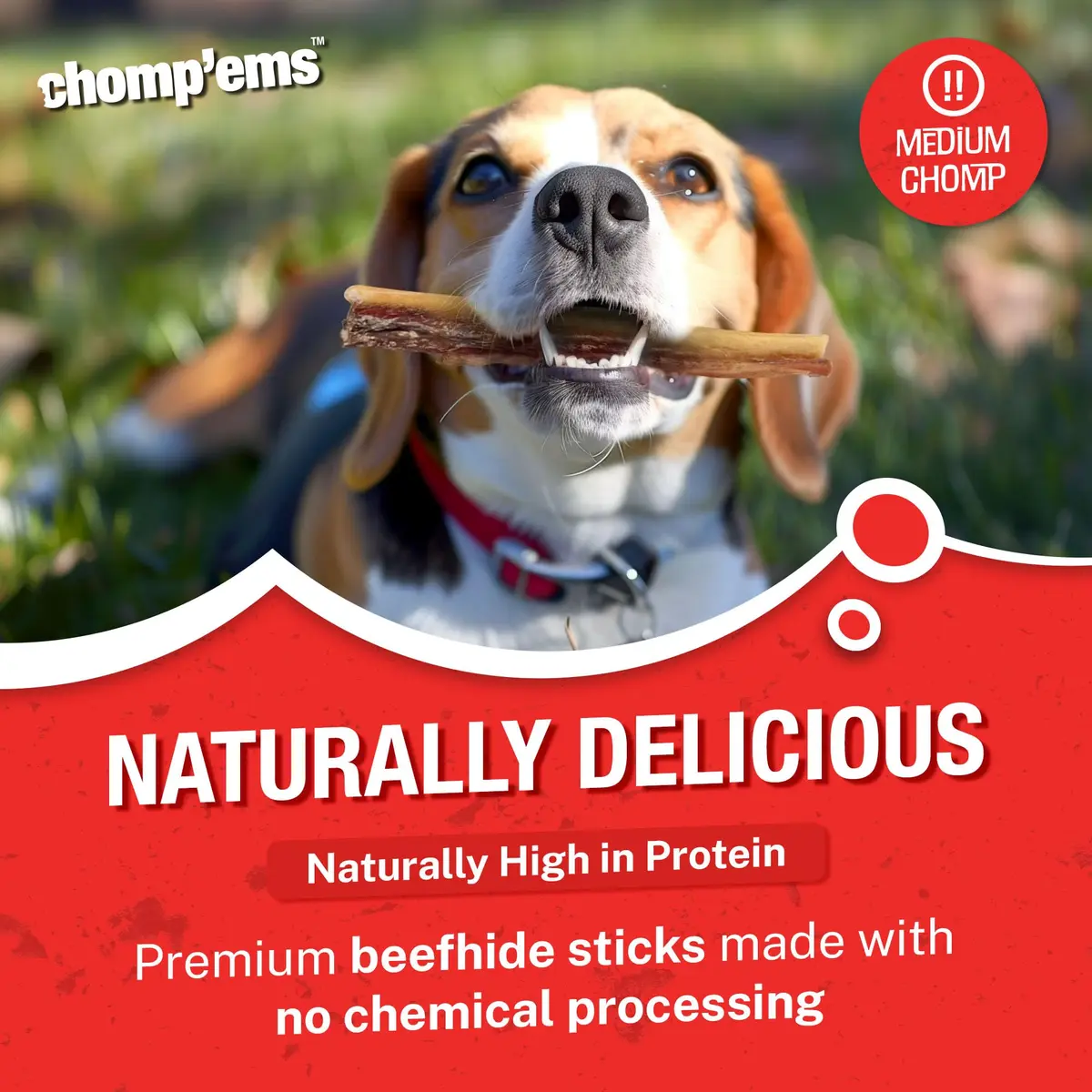 CHOMP 'EMS Purehide Bacon Flavored Sticks 8.5 oz | Long-Lasting, Protein-Rich Dog Chews - view 2