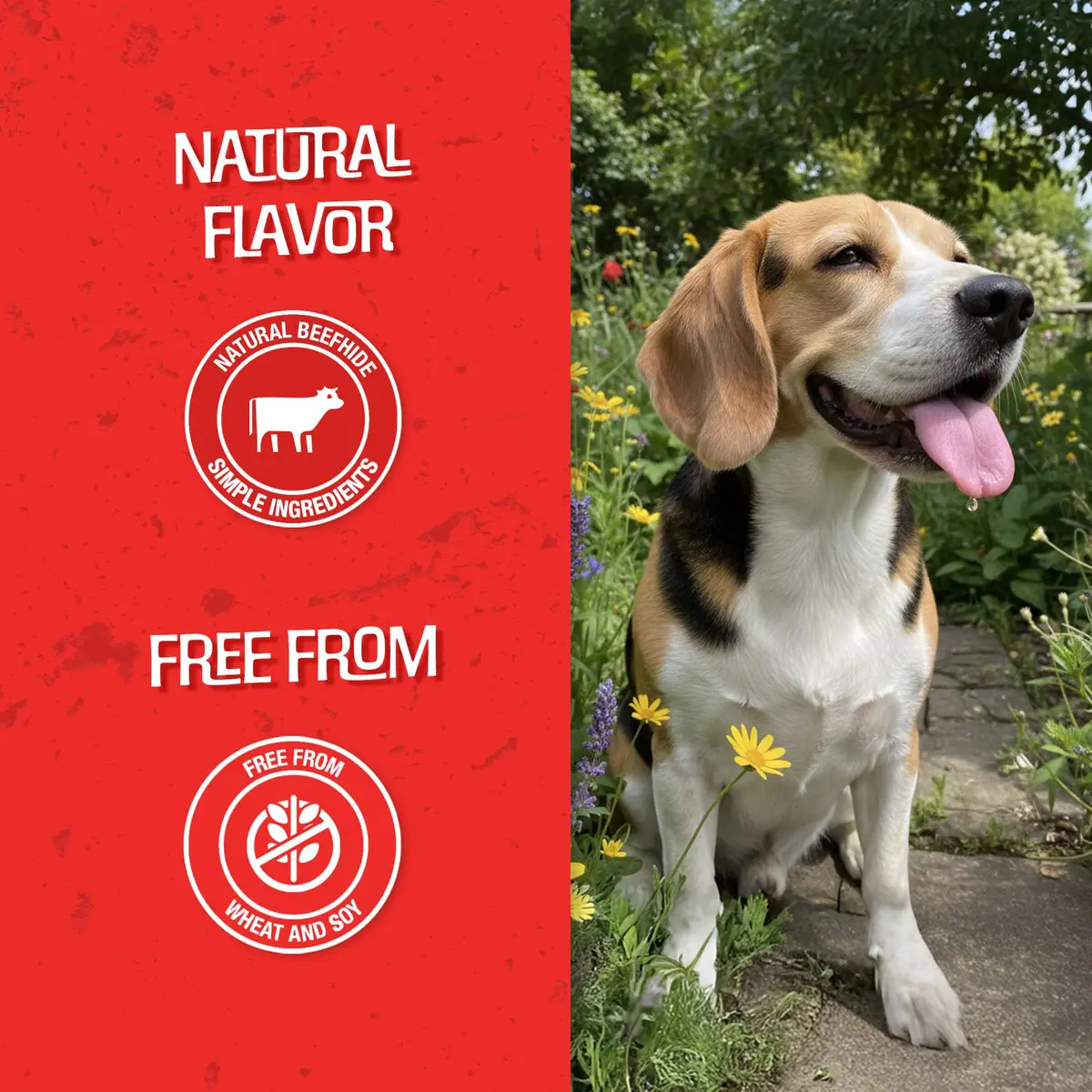 CHOMP 'EMS Purehide Sticks 4 oz | Natural Beefhide Dog Chews, Long-Lasting & Digestible - view 5