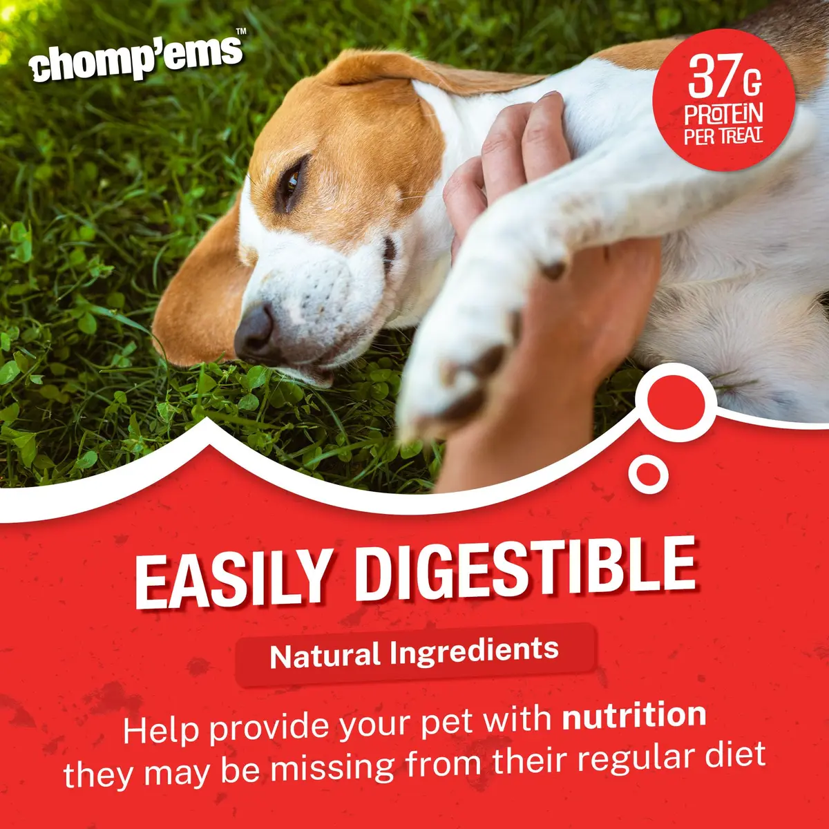 CHOMP 'EMS Ruffin' It 21000 Purehide Bars Dog Chew 6.35 oz | Long-Lasting, Digestible, Dental Support - view 3