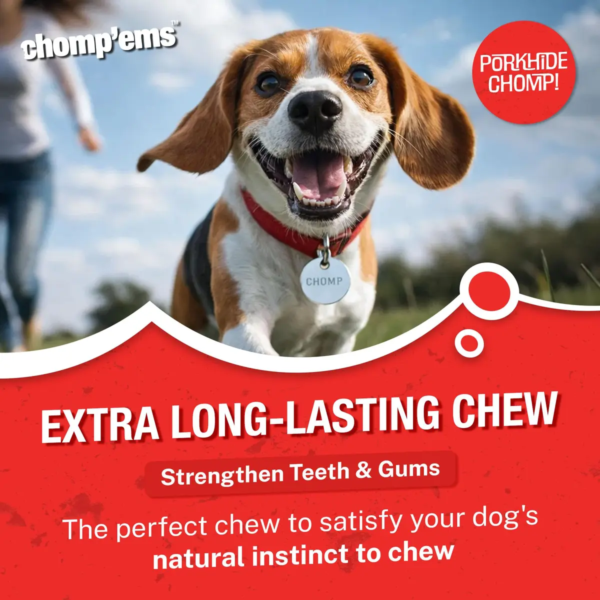 CHOMP 'EMS Ruffin' It 21000 Purehide Bars Dog Chew 6.35 oz | Long-Lasting, Digestible, Dental Support - view 4